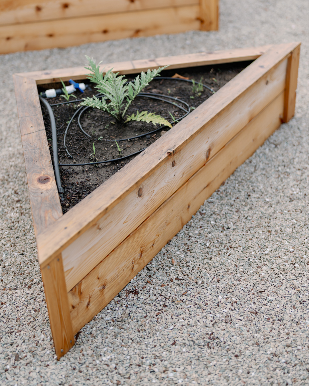 Custom triangular cedar raised bed with drip irrigation integrated into the formal potager layout at LaRocque Farms.