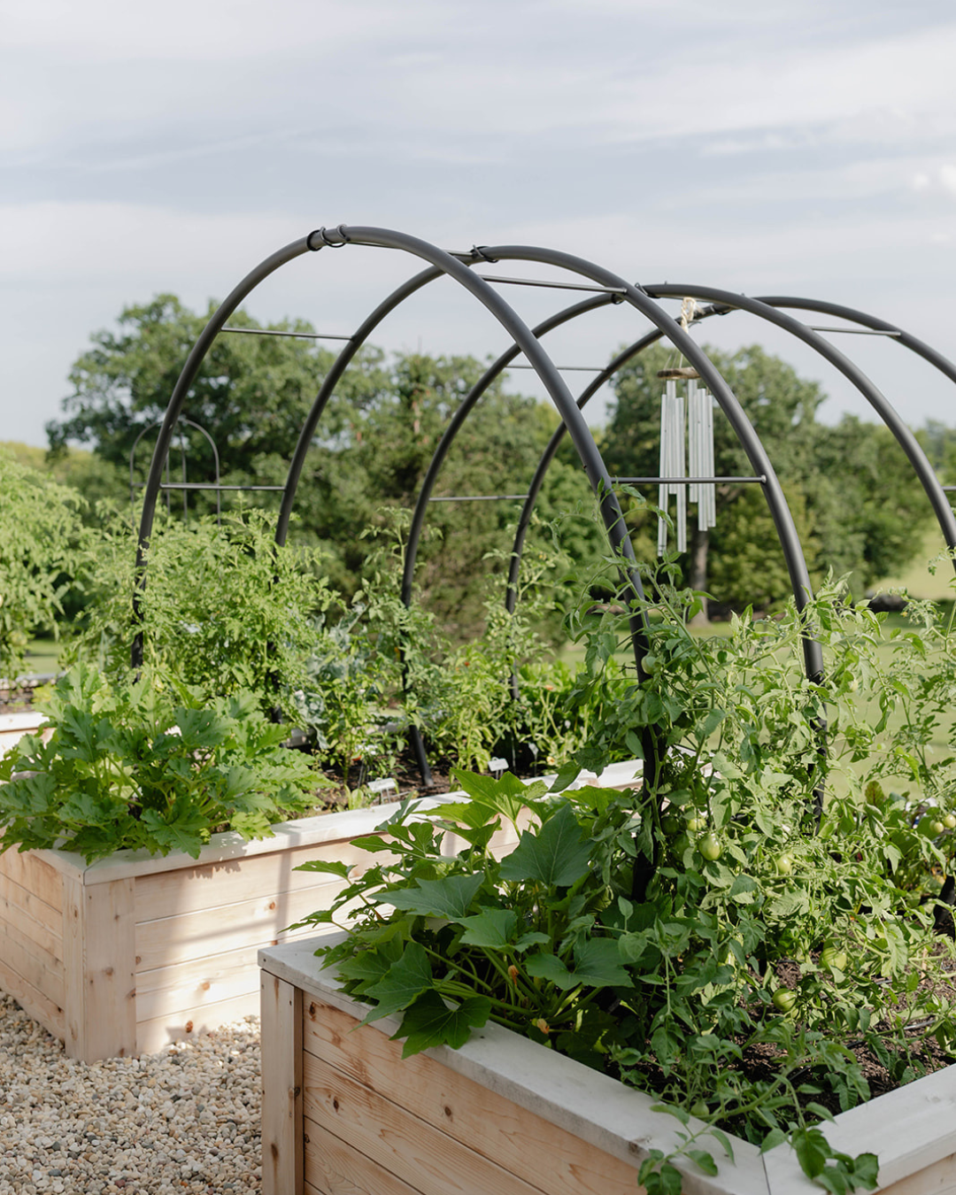 Custom double arch trellises spanning abundant cedar raised beds filled with vegetables on a restored family farm.