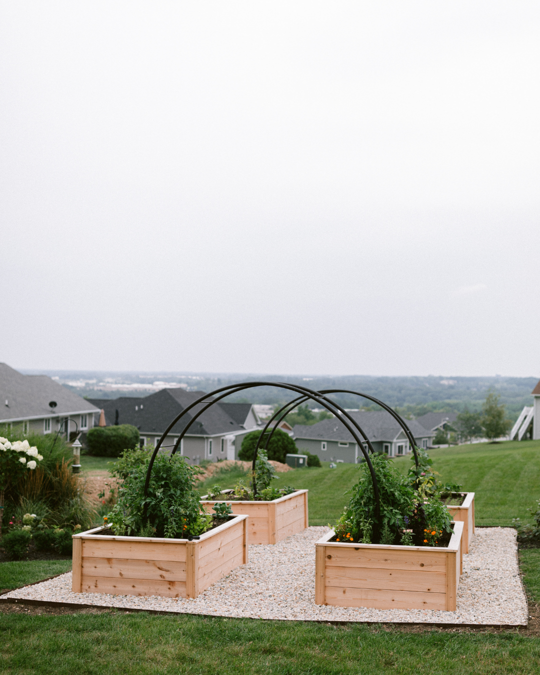 The Legacy Garden in Lake Geneva, Wisconsin, featuring four cedar raised beds, double arch trellises, abundant vegetables, and white stone pathways on an in-town lot.