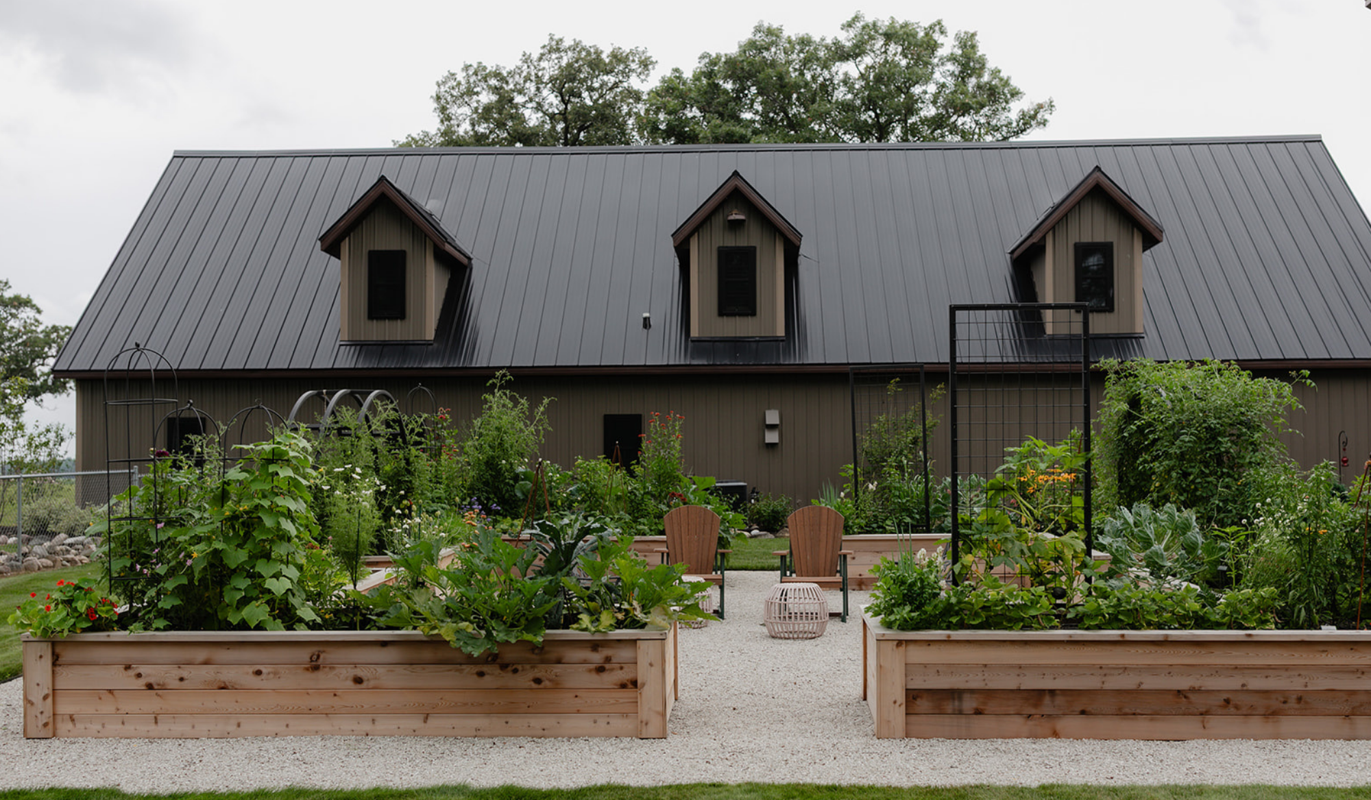 Cedar raised bed kitchen garden with custom made trellis on white limestone chip.