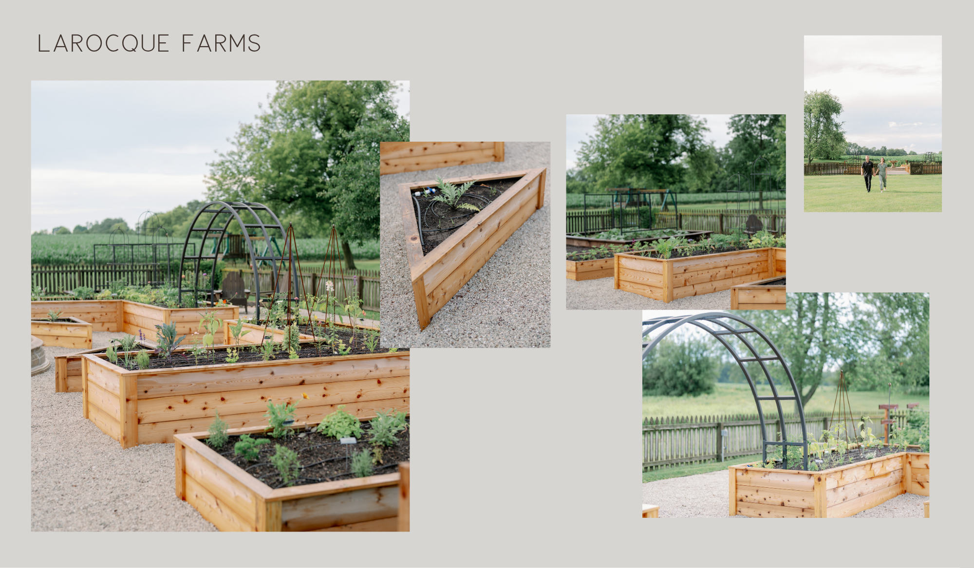 LaRocque Farms kitchen garden design collage featuring custom cedar raised beds, triangular beds, black arch trellises, and views across the garden.
