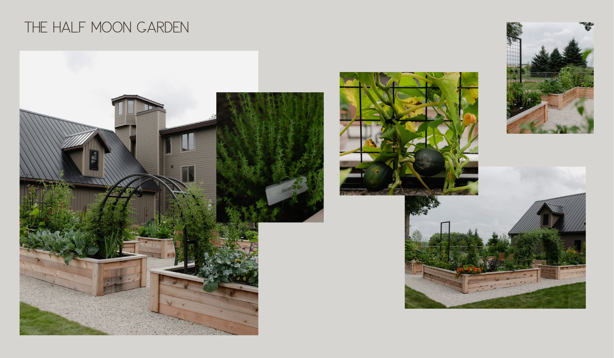 Cedar raised bed kitchen garden with custom made trellis on white limestone chip.