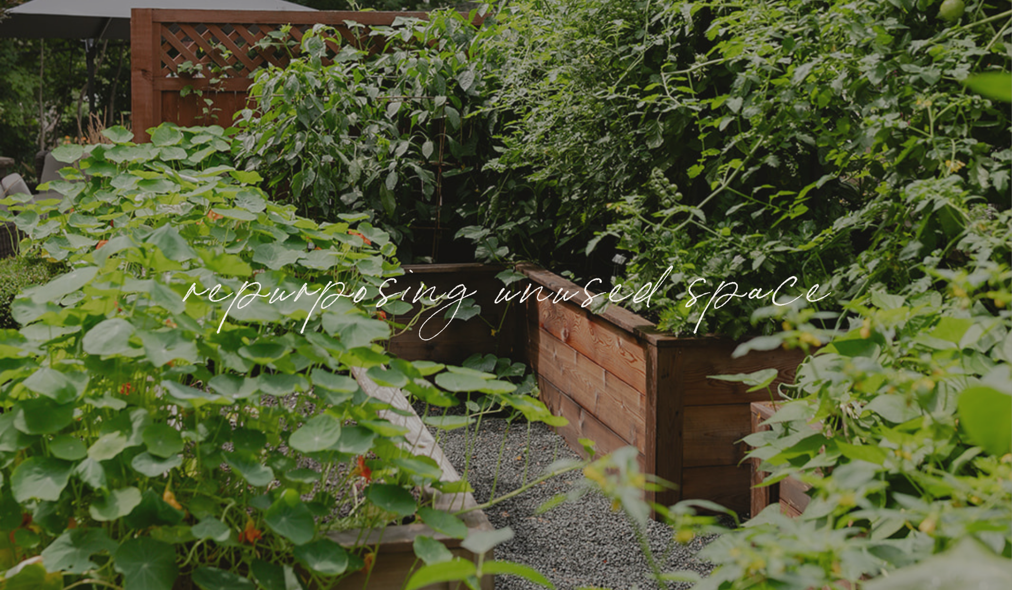 Custom cedar raised bed kitchen garden beside a gray home in Lake Geneva, Wisconsin.