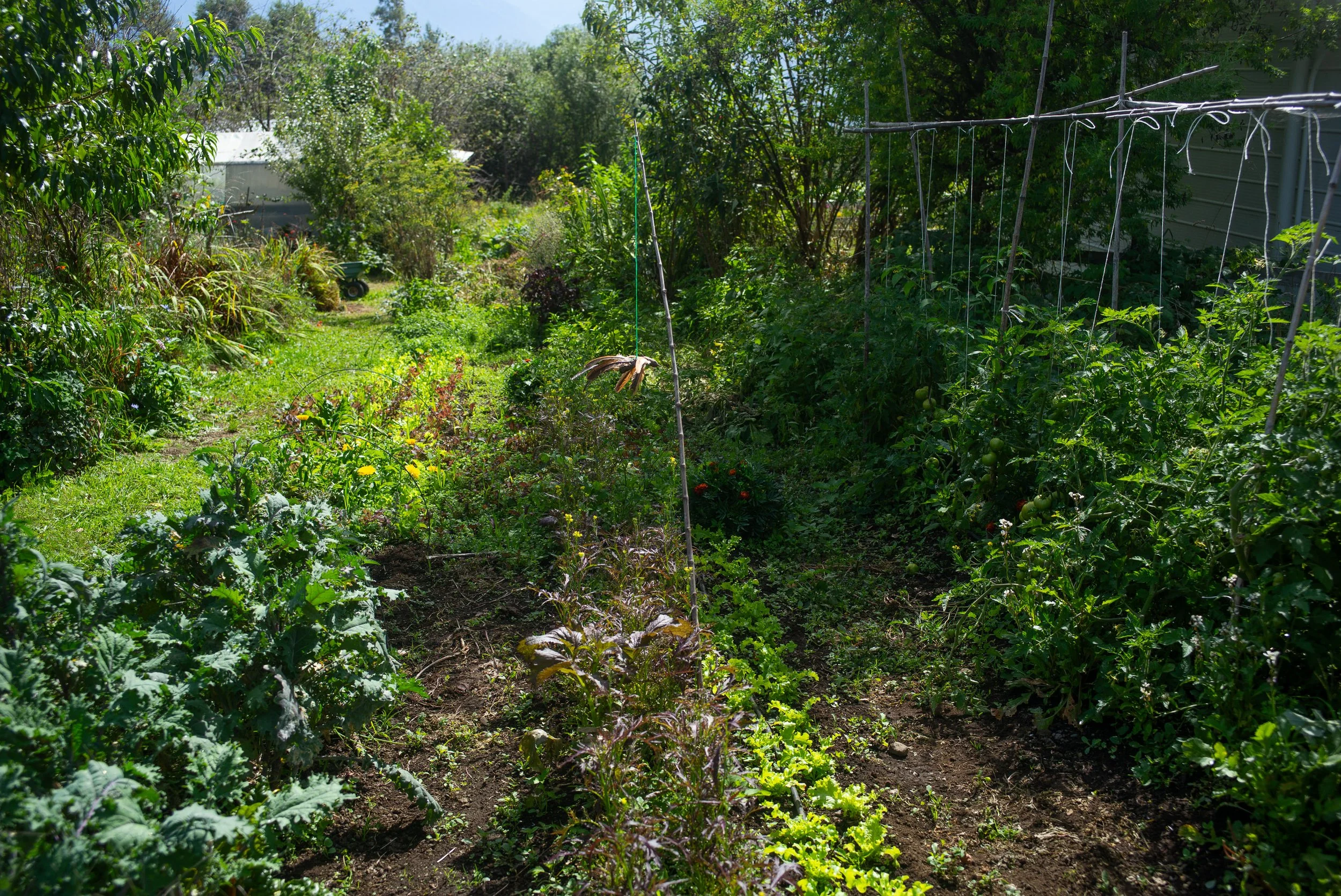 L1004275.jpg
