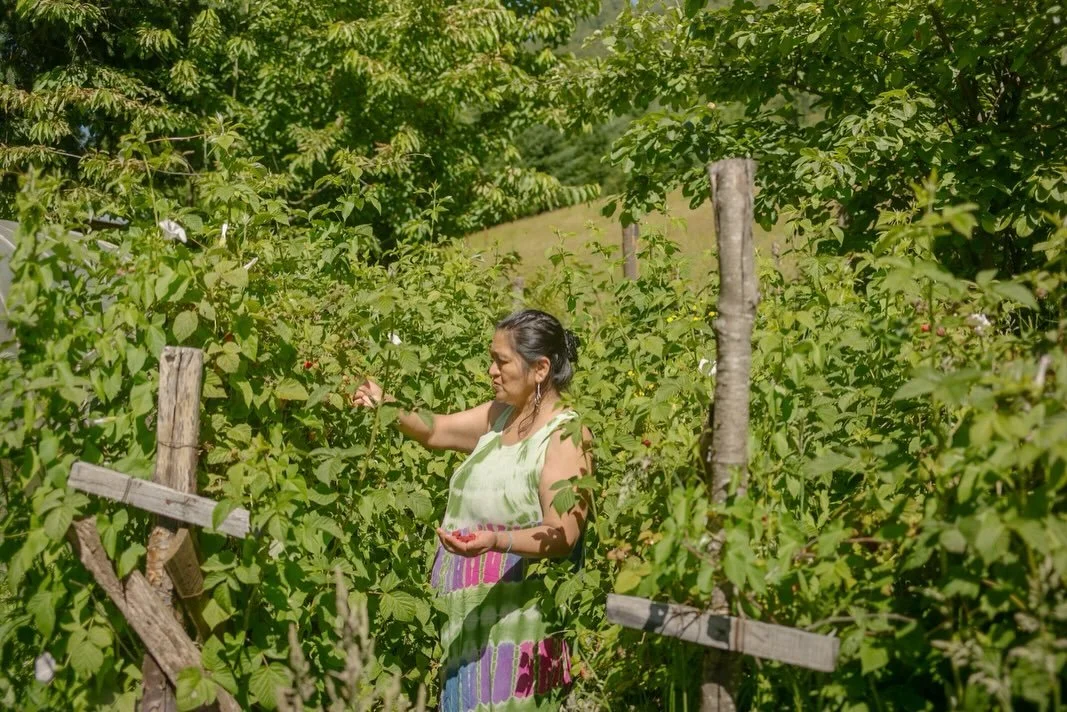 🌸Elena Aguilera vive en Puala Alto, Curarrehue, y es parte activa de su comunidad: hoy preside la comunidad ind&iacute;gena Antonio Catriquir. Naci&oacute; en Reigolil y creci&oacute; entre el campo, la huerta y los saberes que aprendi&oacute; en su