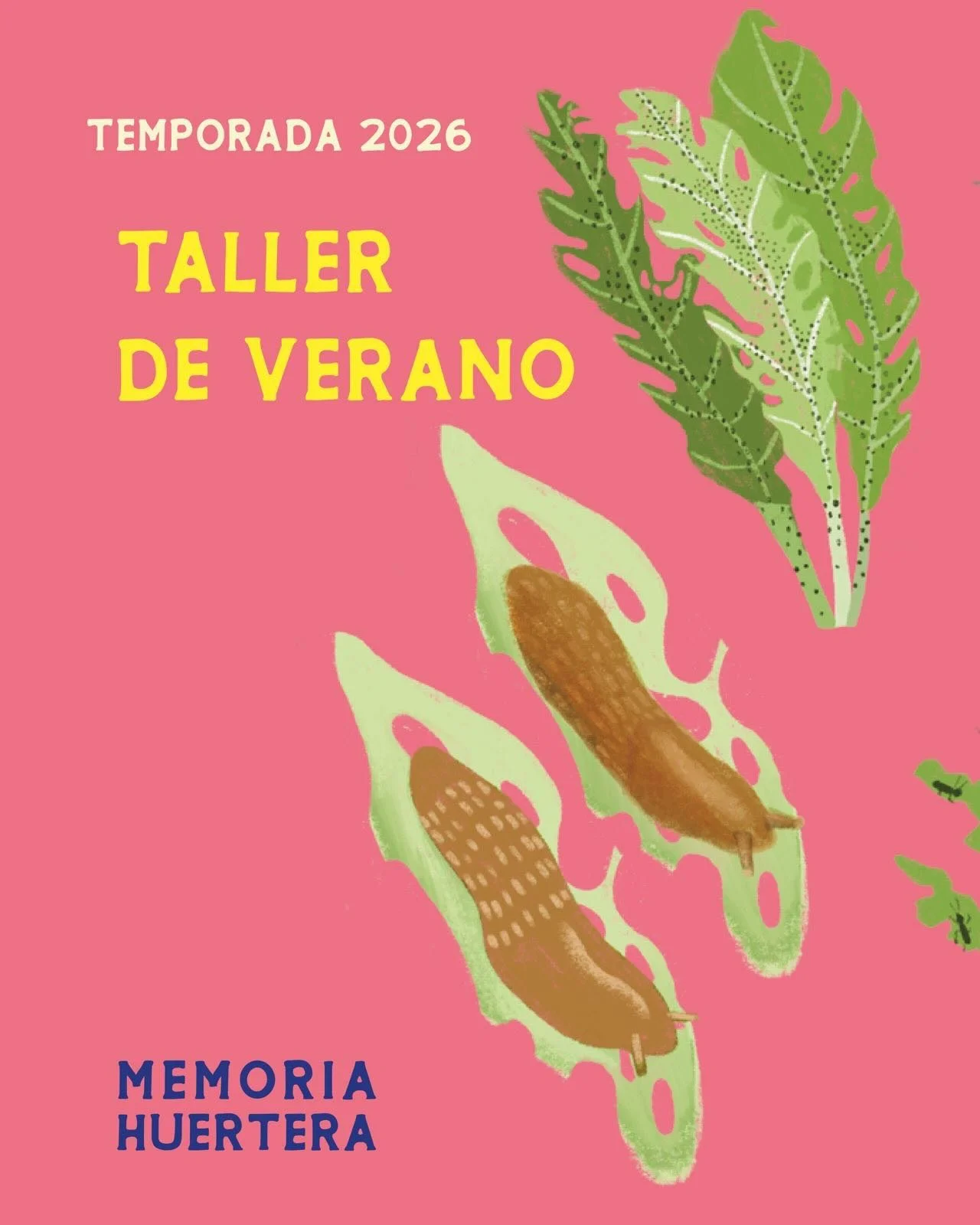 🌞 Taller #5 &ndash; &ldquo;Taller de Verano&rdquo; con Elena Aguilera @elena.aguilera.5099 

 📅 S&aacute;bado 24 de enero 2026 | 10:30 a 13:30 hrs
 📍 Puala Alto, Curarrehue
 💸 Cupos limitados | Inscripci&oacute;n previa

Damos inicio a la tempora