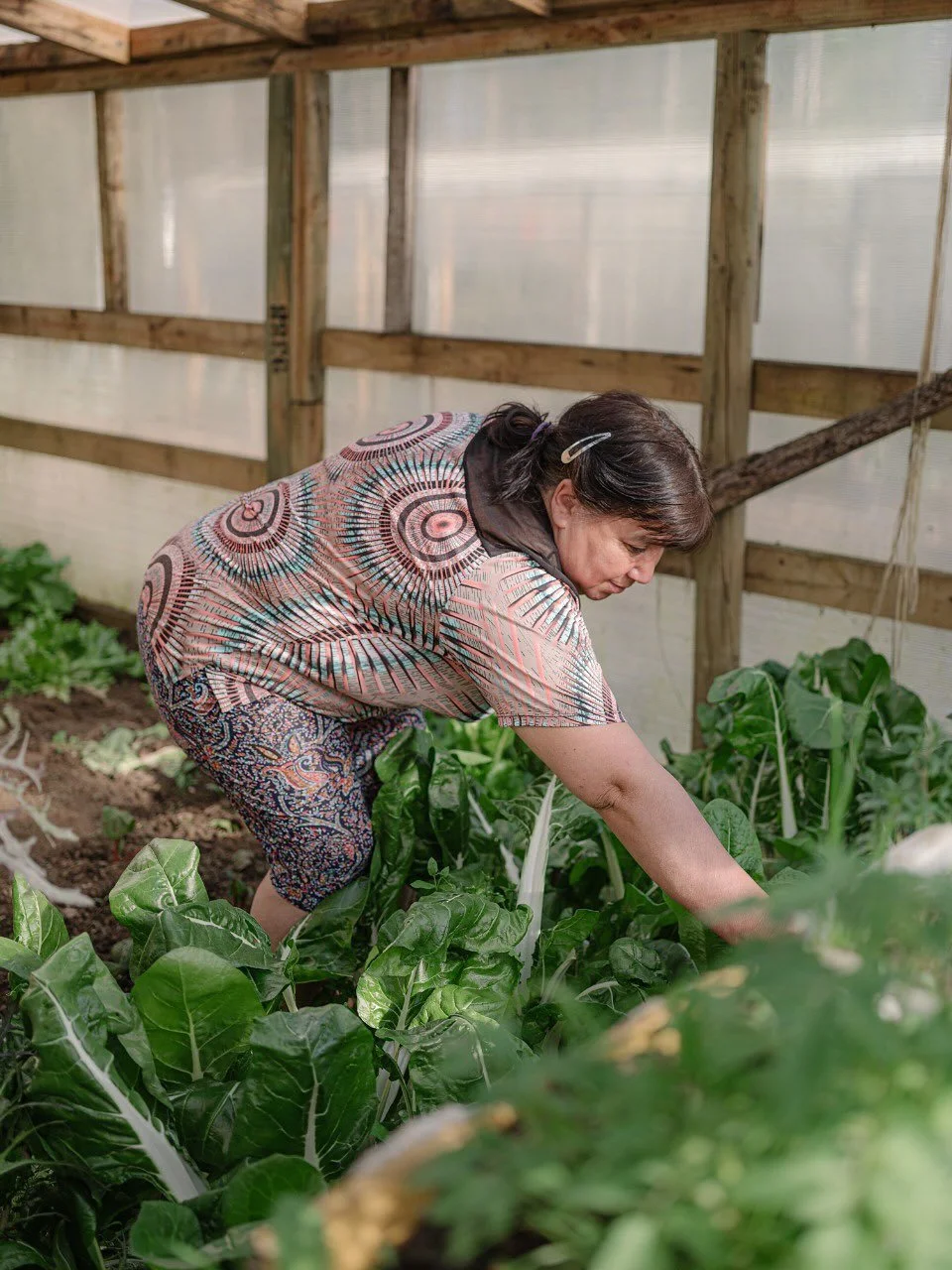 👩&zwj;🌾👩&zwj;🌾 Bernardita Esparza @creaciones_berni_carhuello 

⛰️ Berni es oriunda de Carhuello y huertera por tradici&oacute;n, aprendi&oacute; casi todo sobre la huerta de su madre. Se capacita constantemente en los talleres del PDTI (Programa