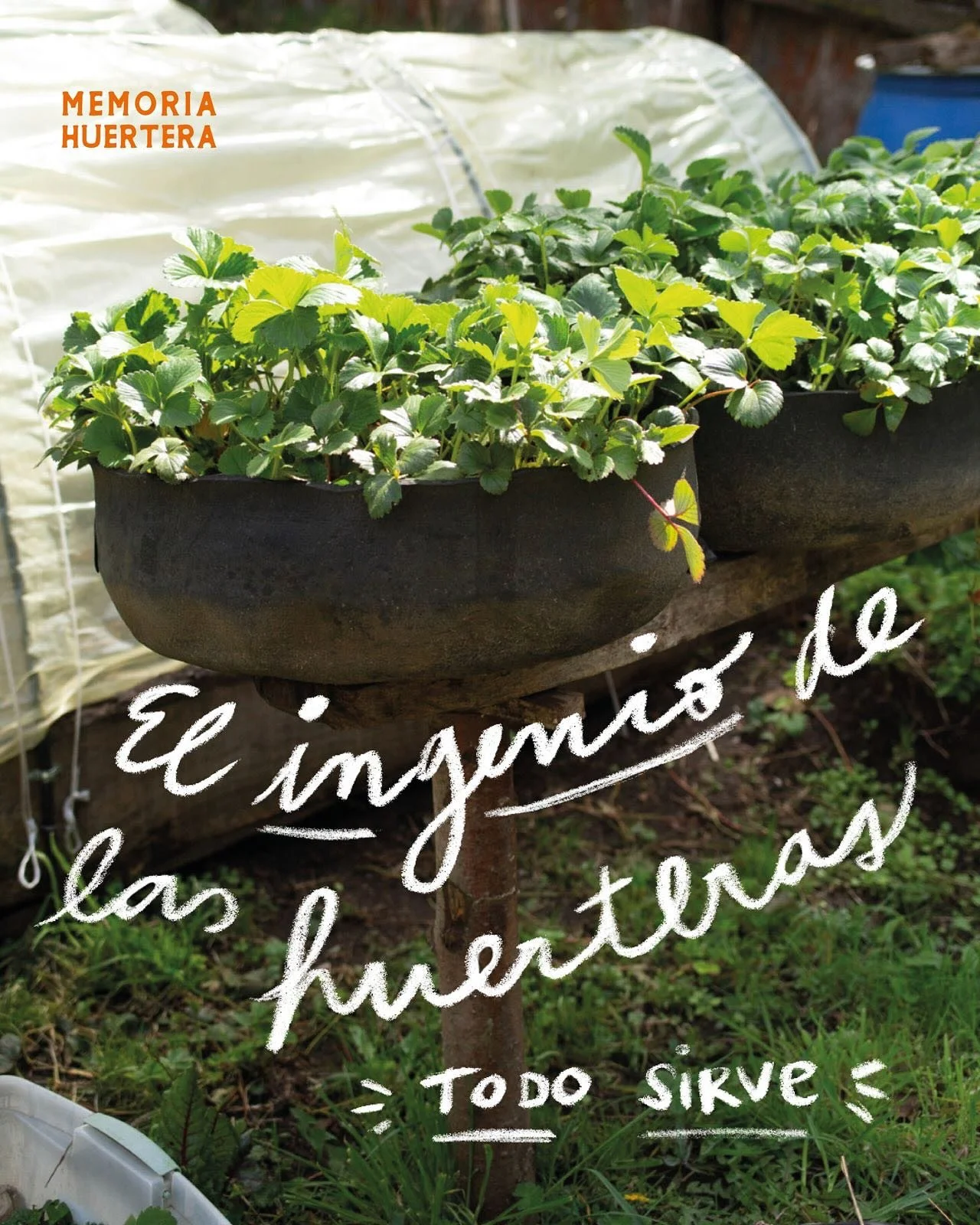 Creatividad huertera

👩&zwj;🌾 En la huerta nada se bota: siempre hay nuevas oportunidades.

🫙 Un frasco vac&iacute;o, una huevera, una caja de leche o una botella cortada pueden transformarse en pocillos para sembrar. Todo puede volver a tener vid