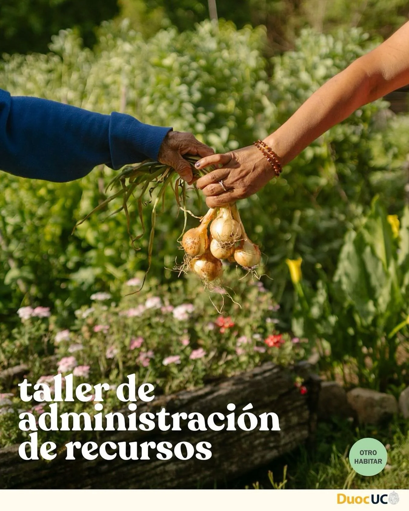 🌿 Taller de Administraci&oacute;n de Recursos para Mujeres Huerteras 🌿

Otro Habitar @otrohabitar , en conjunto con DUOC UC @duocucvillarrica , invitan a participar de este taller pr&aacute;ctico dirigido a mujeres huerteras que sostienen sus hogar