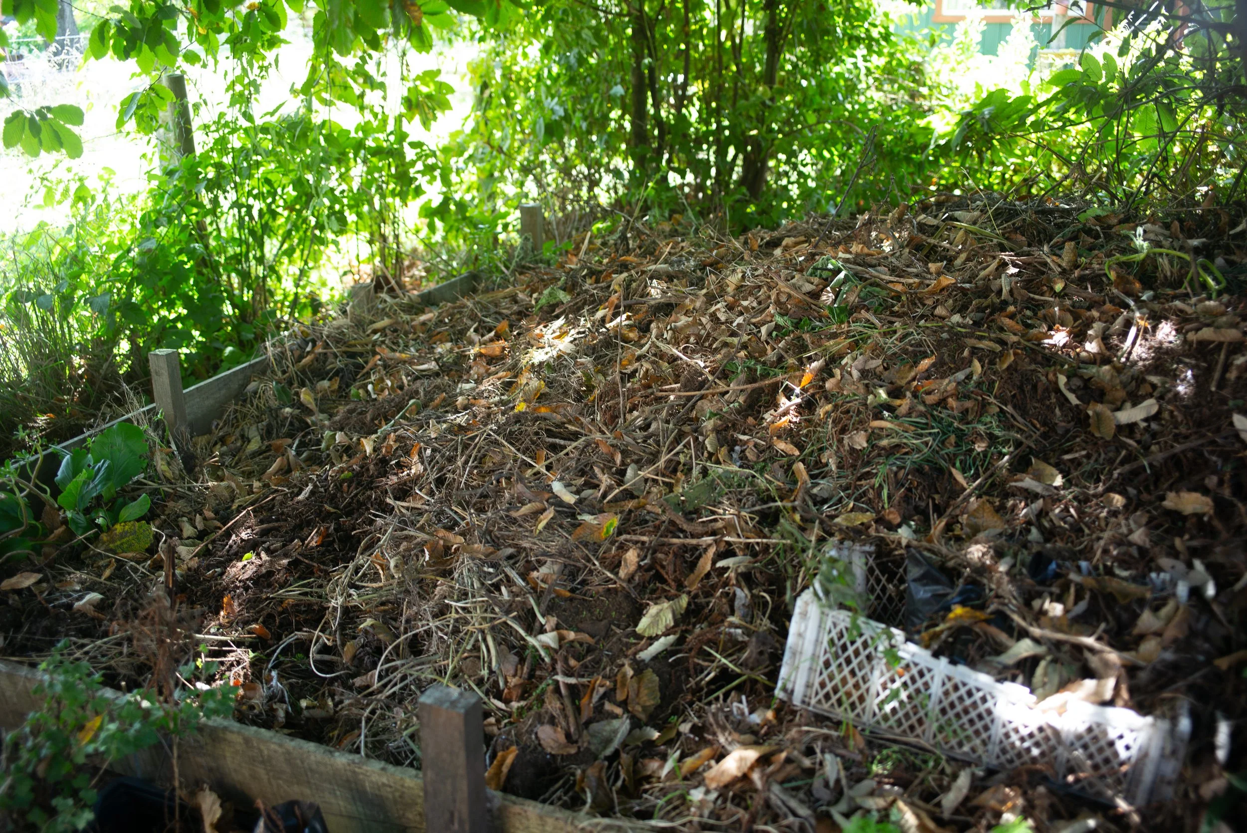L1004356.jpg