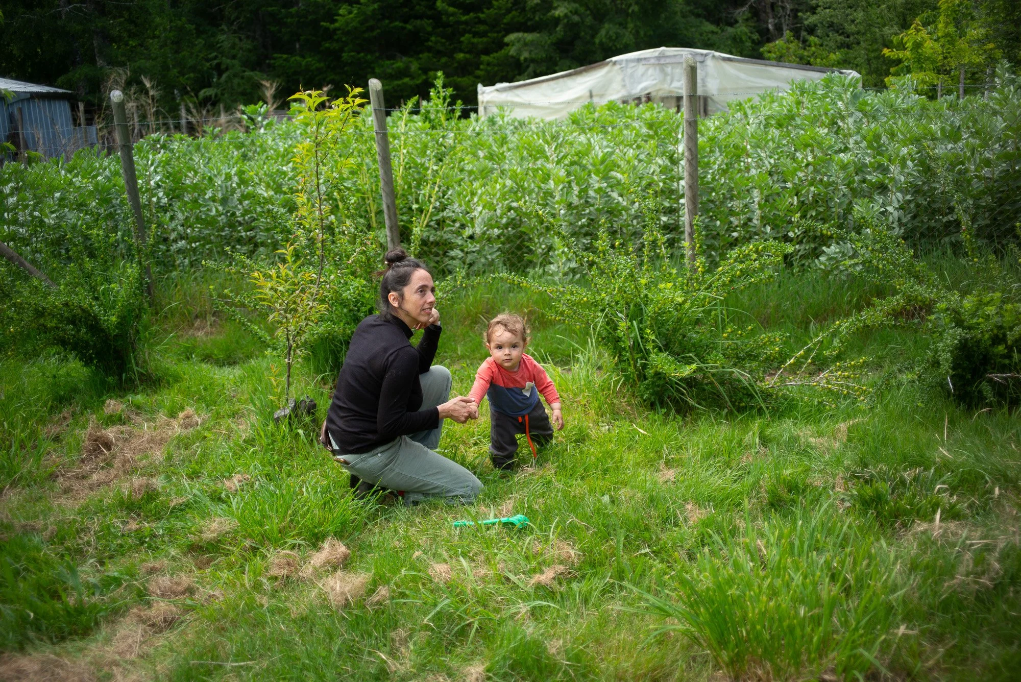 L1002787.jpg