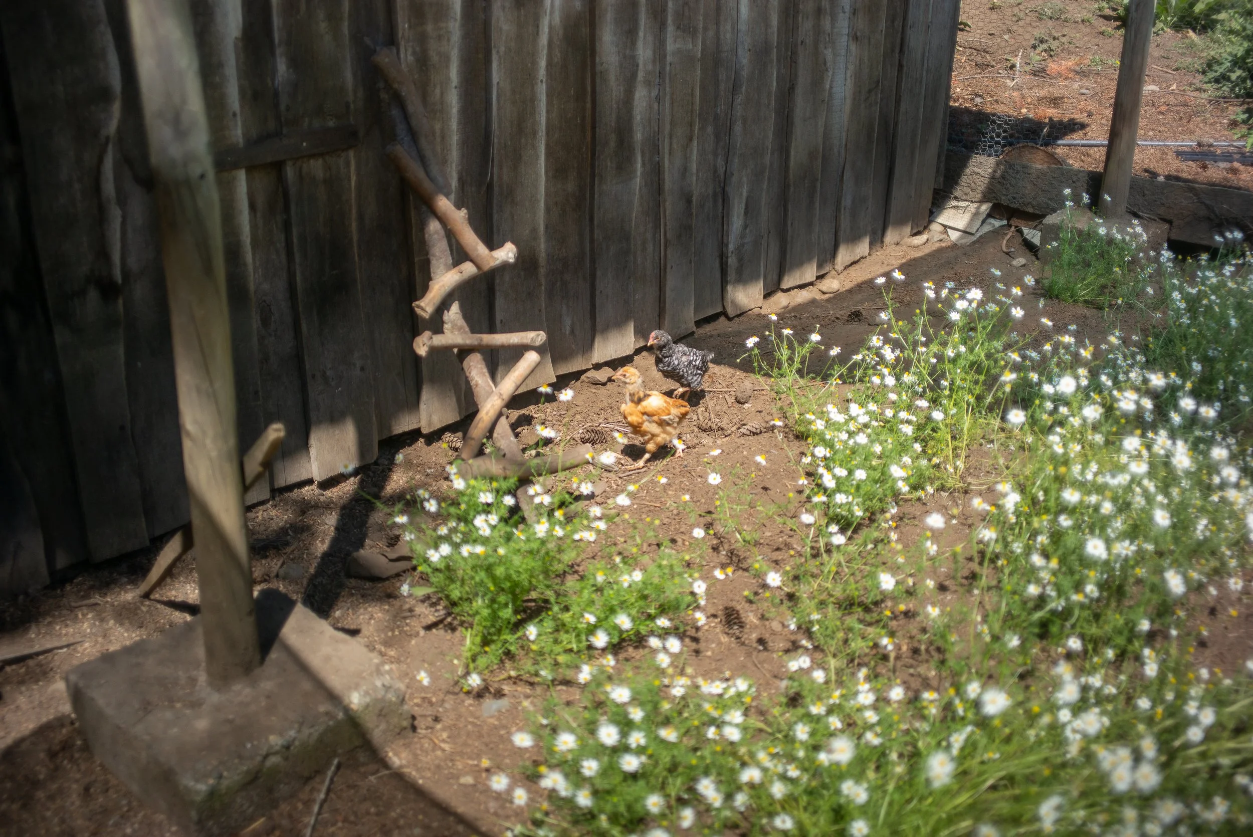 L1003428.jpg