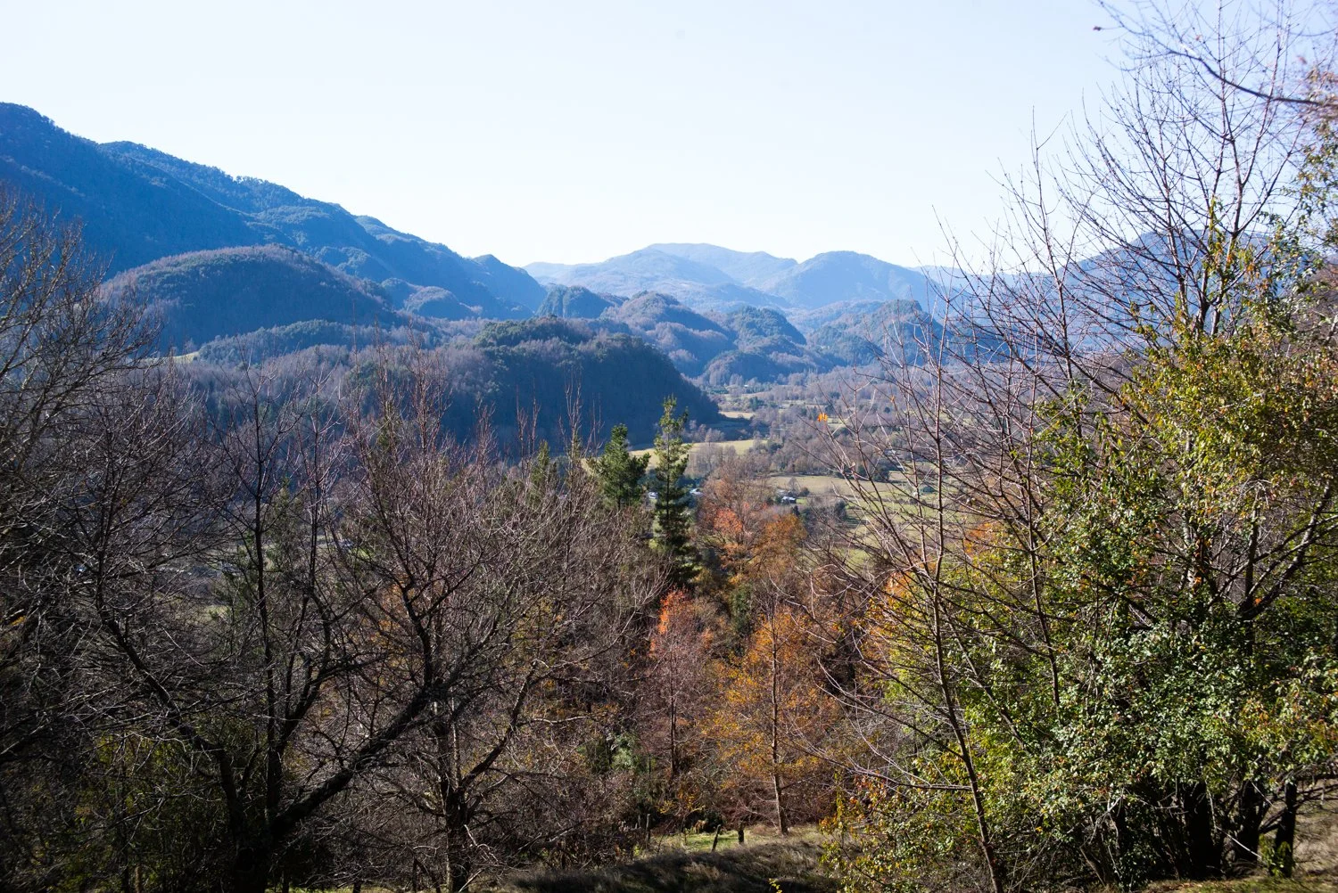 L1001745.jpg