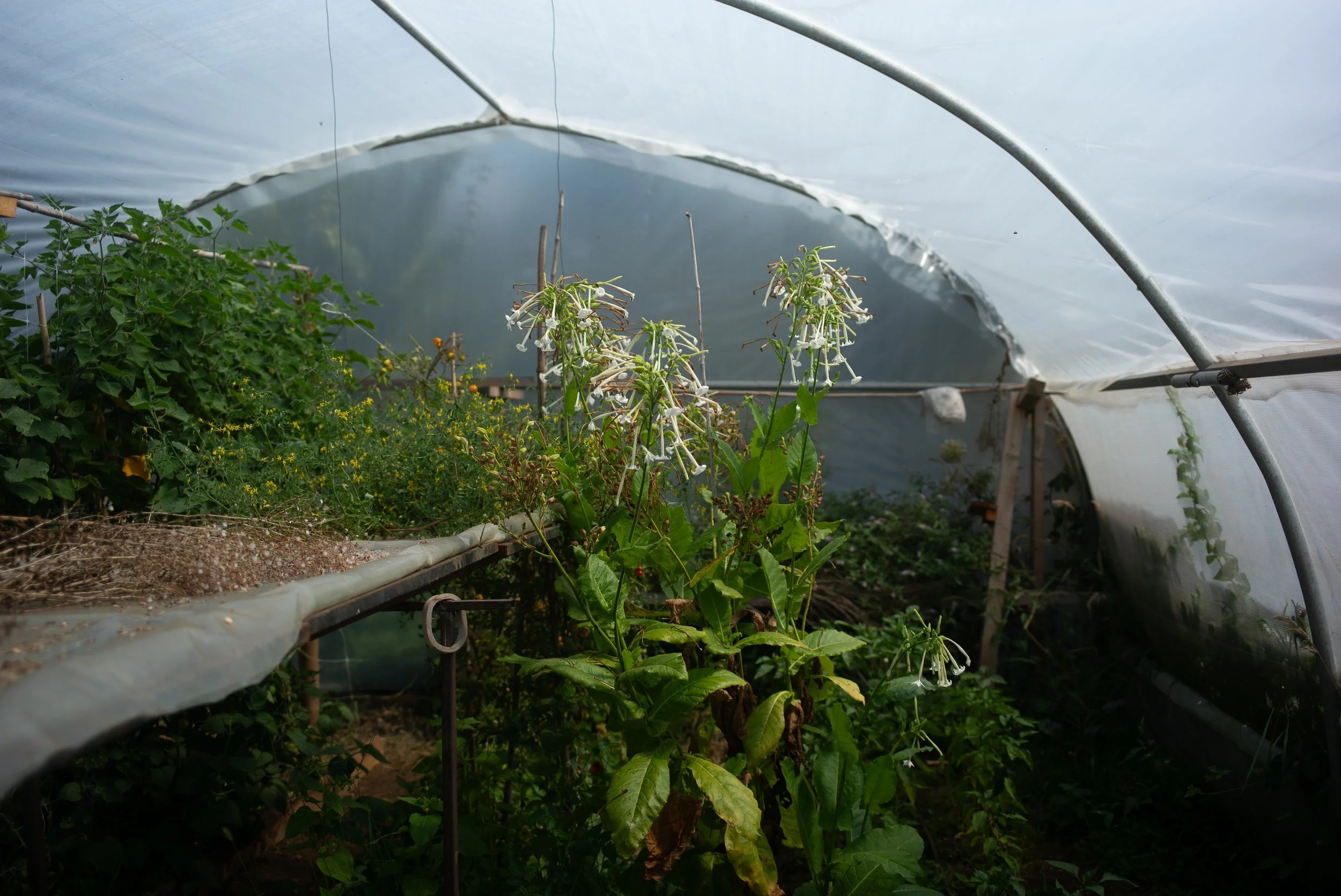 L1004330.jpg