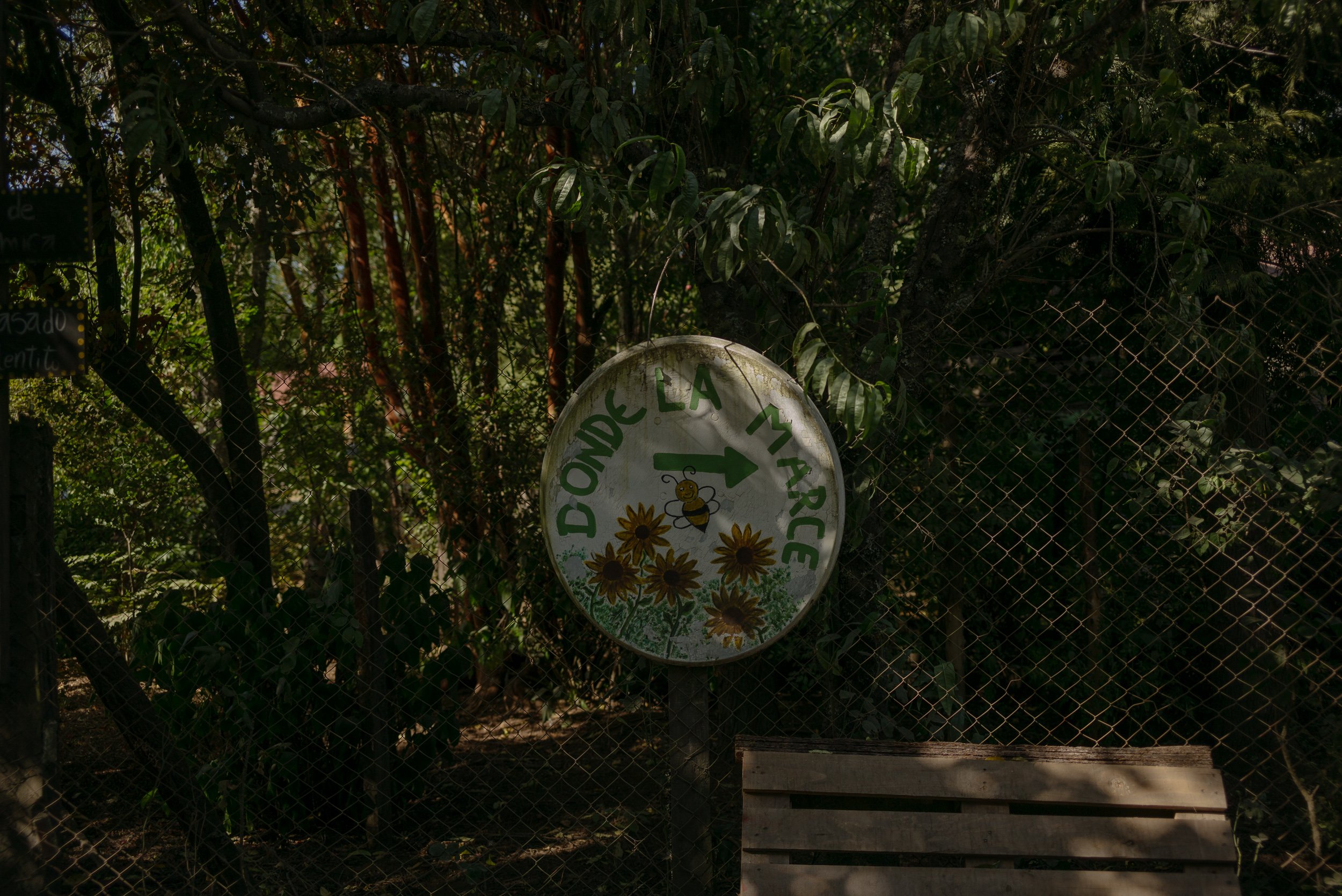 L1004081.jpg
