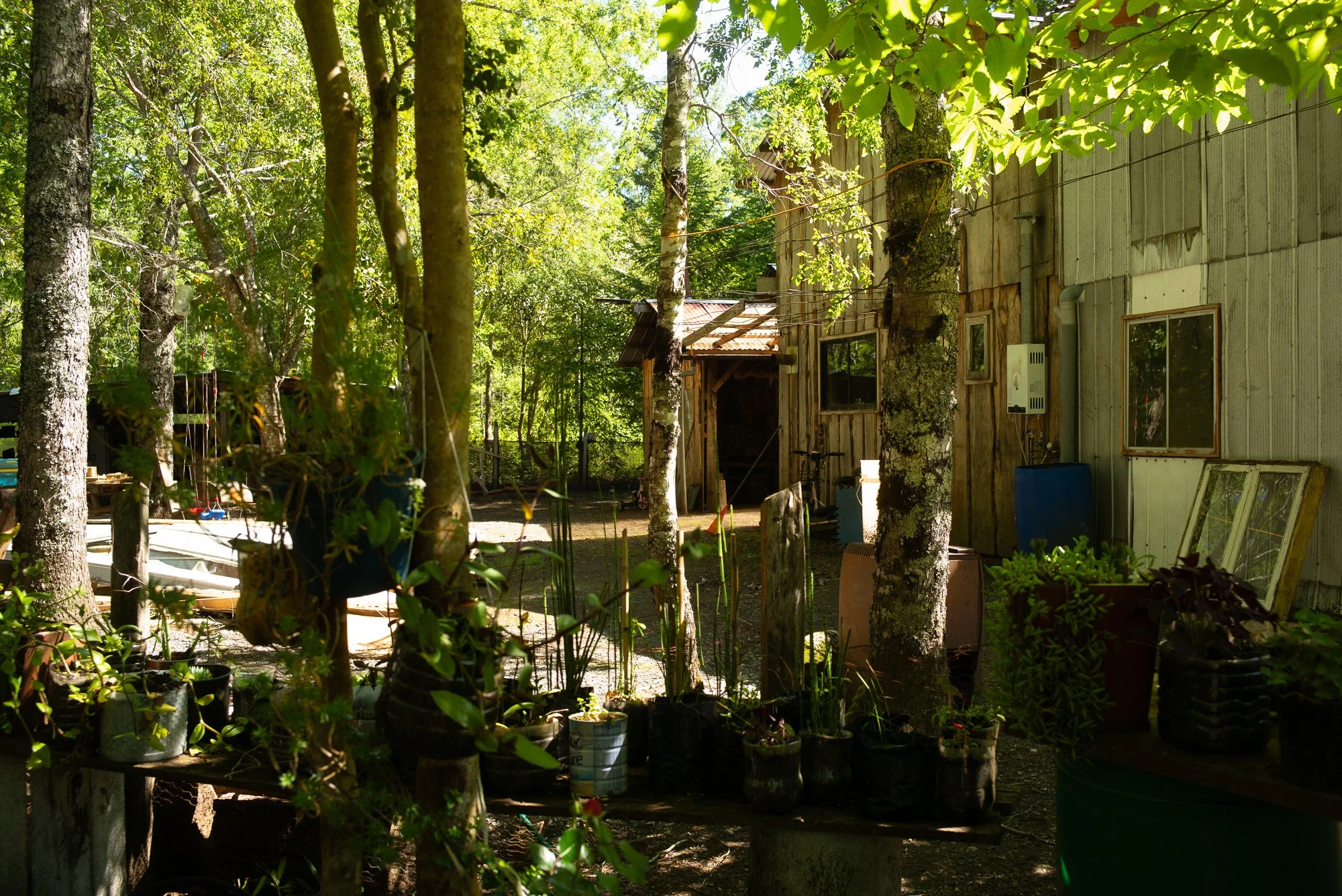 L1002698.jpg