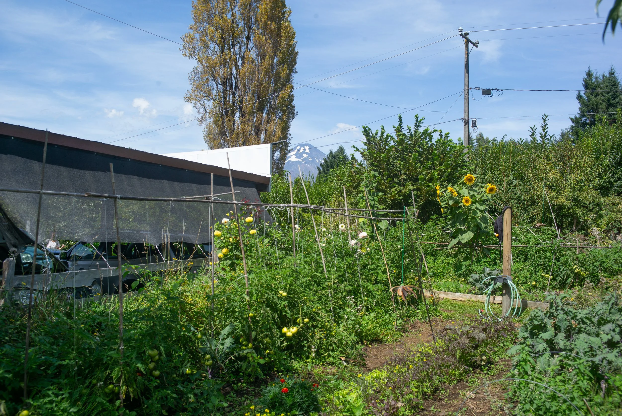 L1004325.jpg