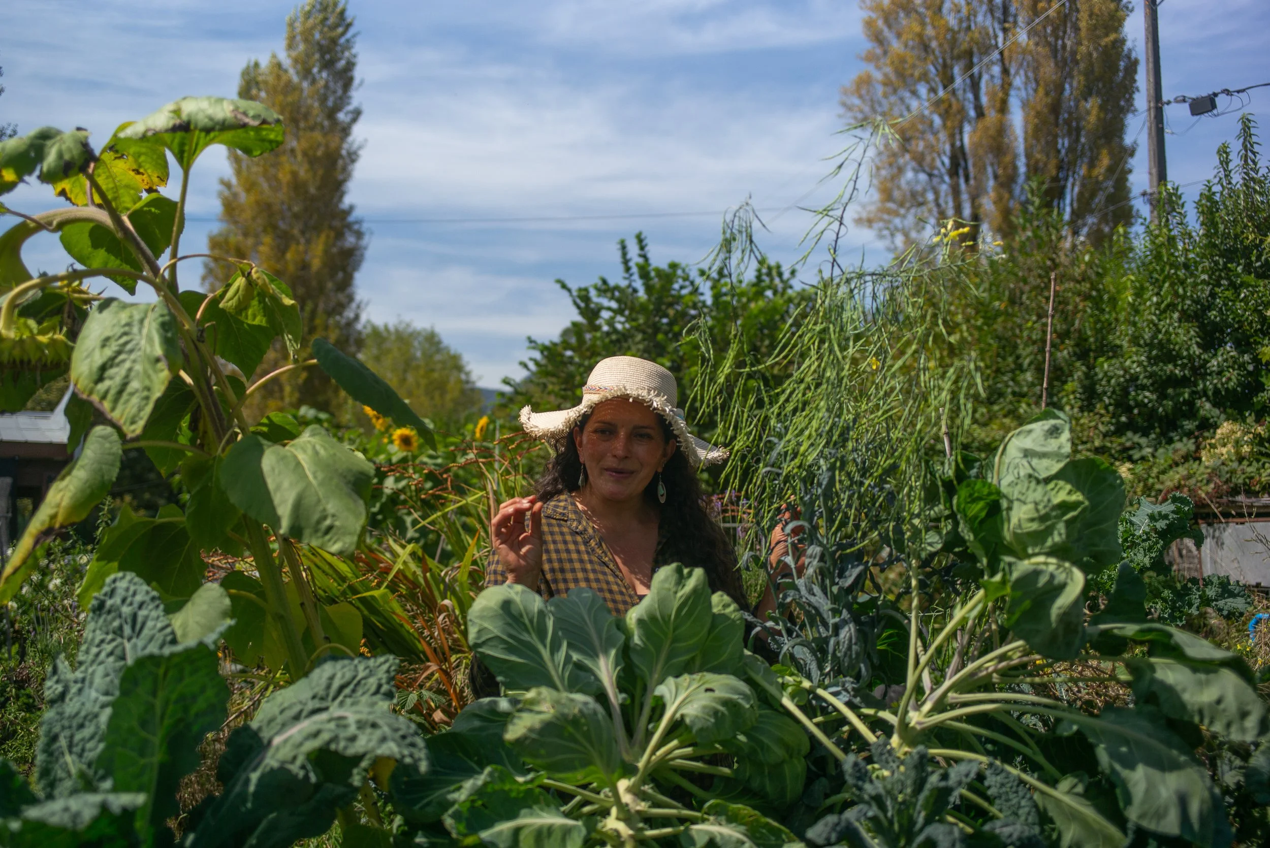 L1004309.jpg