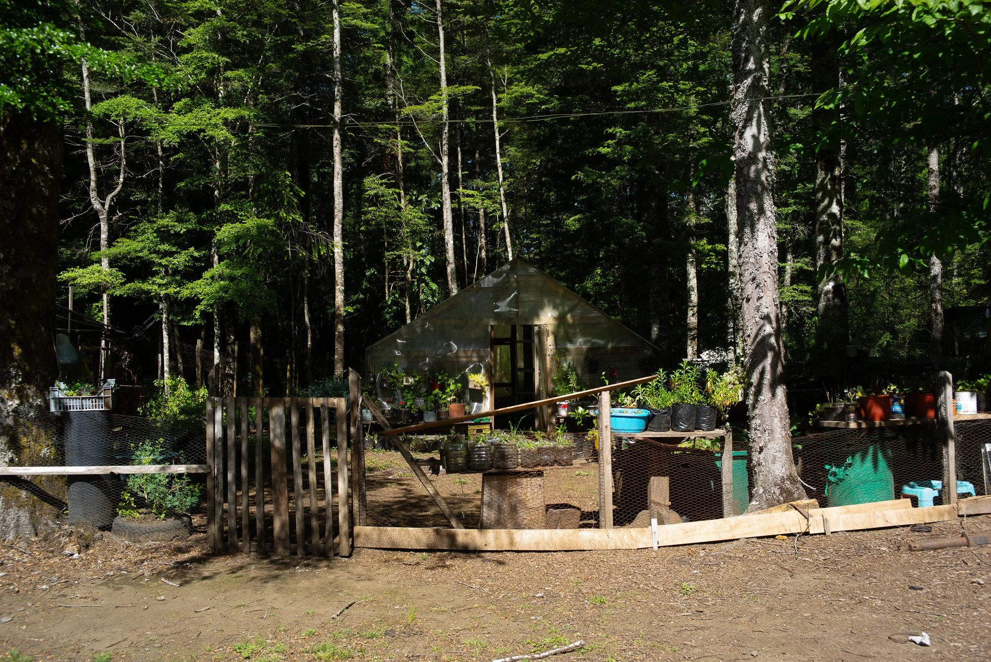 L1002704.jpg