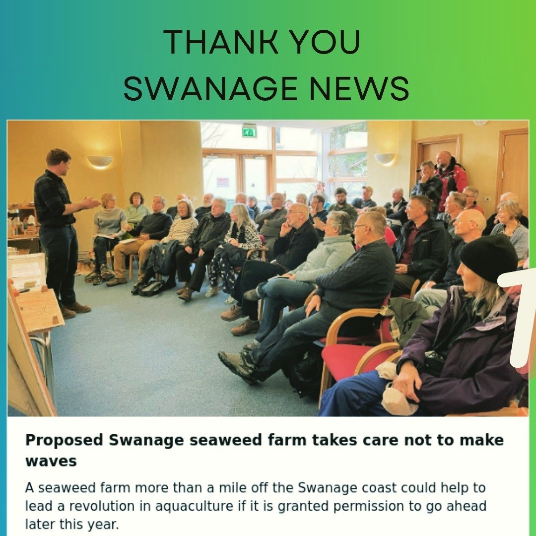https://www.swanage.news/proposed-swanage-seaweed-farm-takes-care-not-to-make-waves/