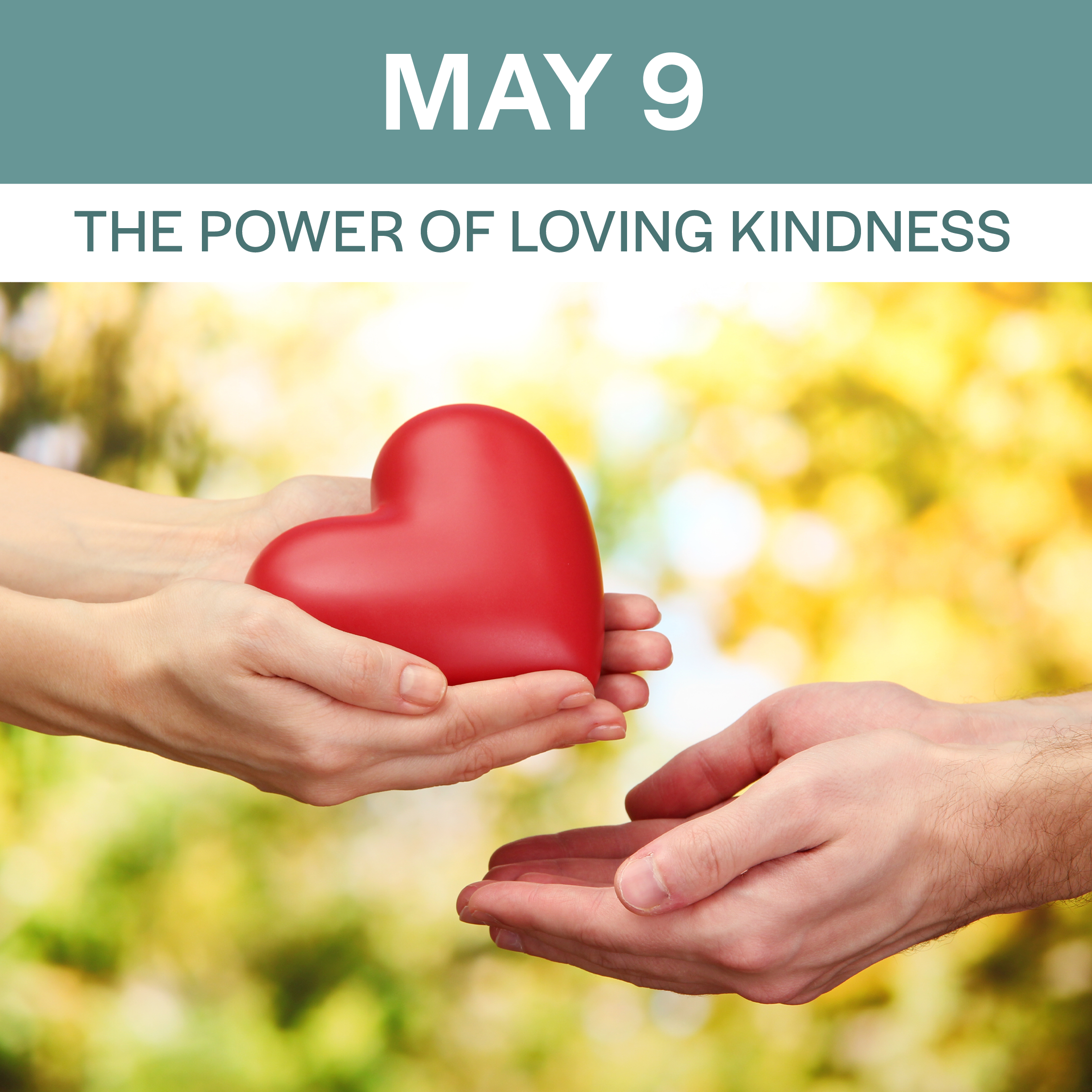Workshop: The Power of Loving Kindness
