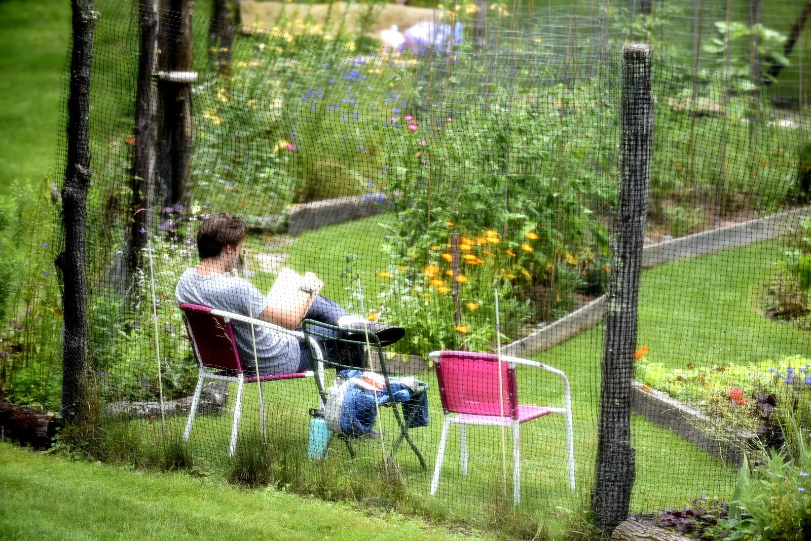 Man reading a book outside in a garden