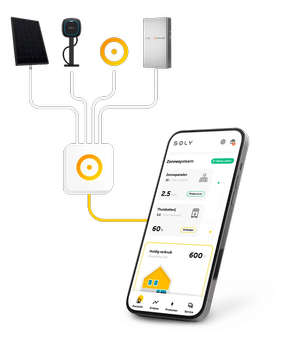 Soly Brain — Soly Global