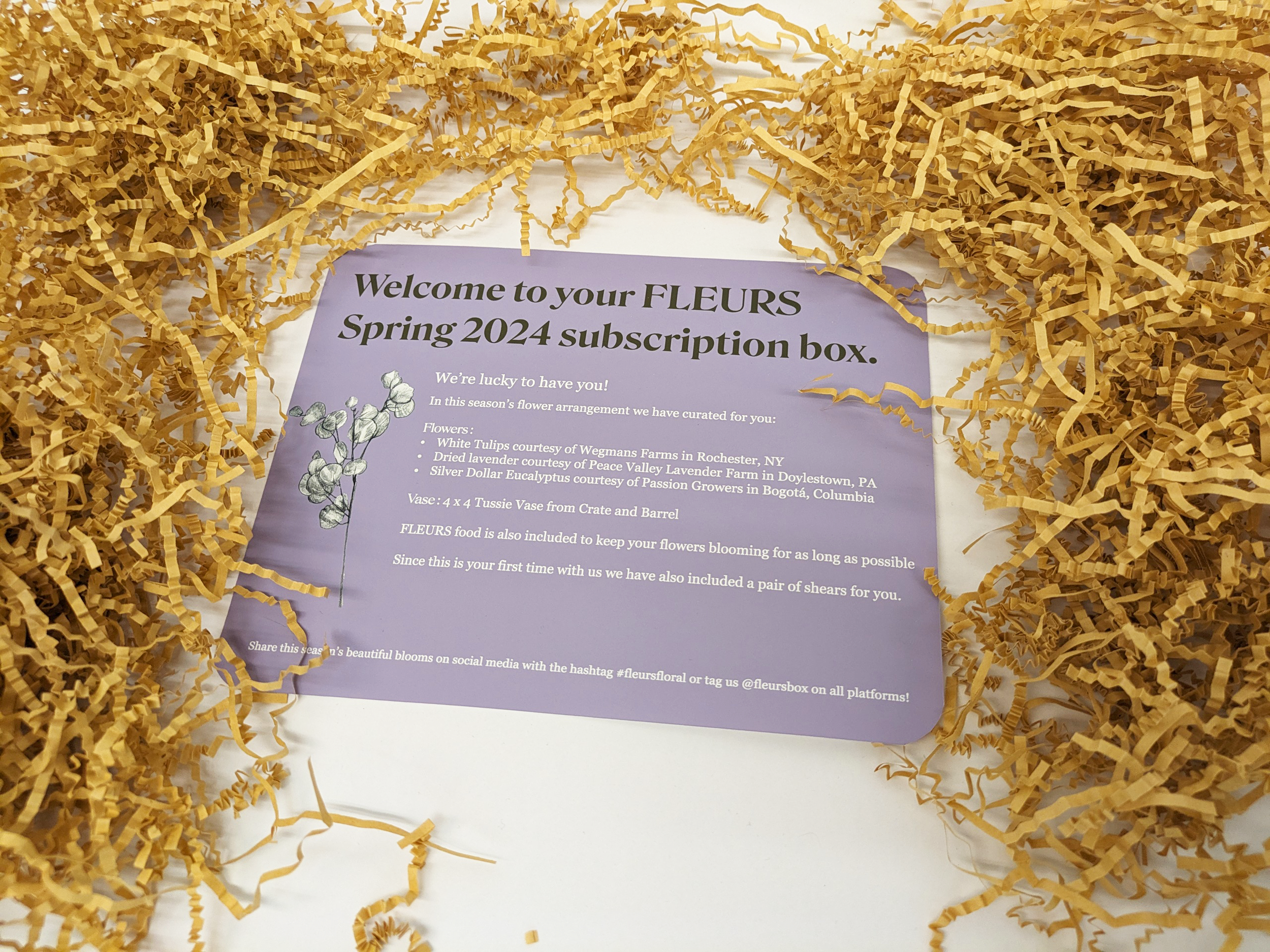 FLEURS purple instructions.png