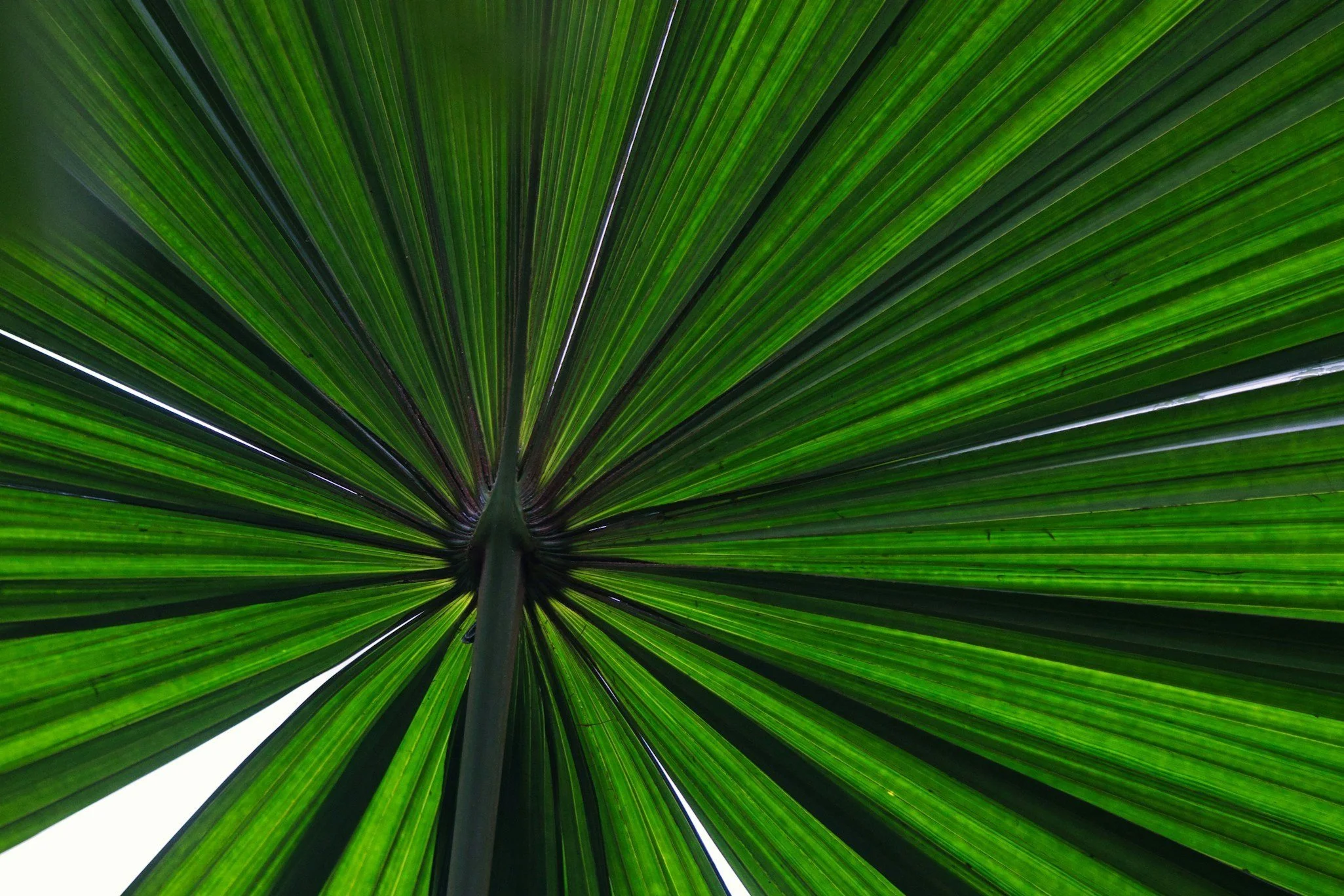 When a Parent’s Needs Always Came First