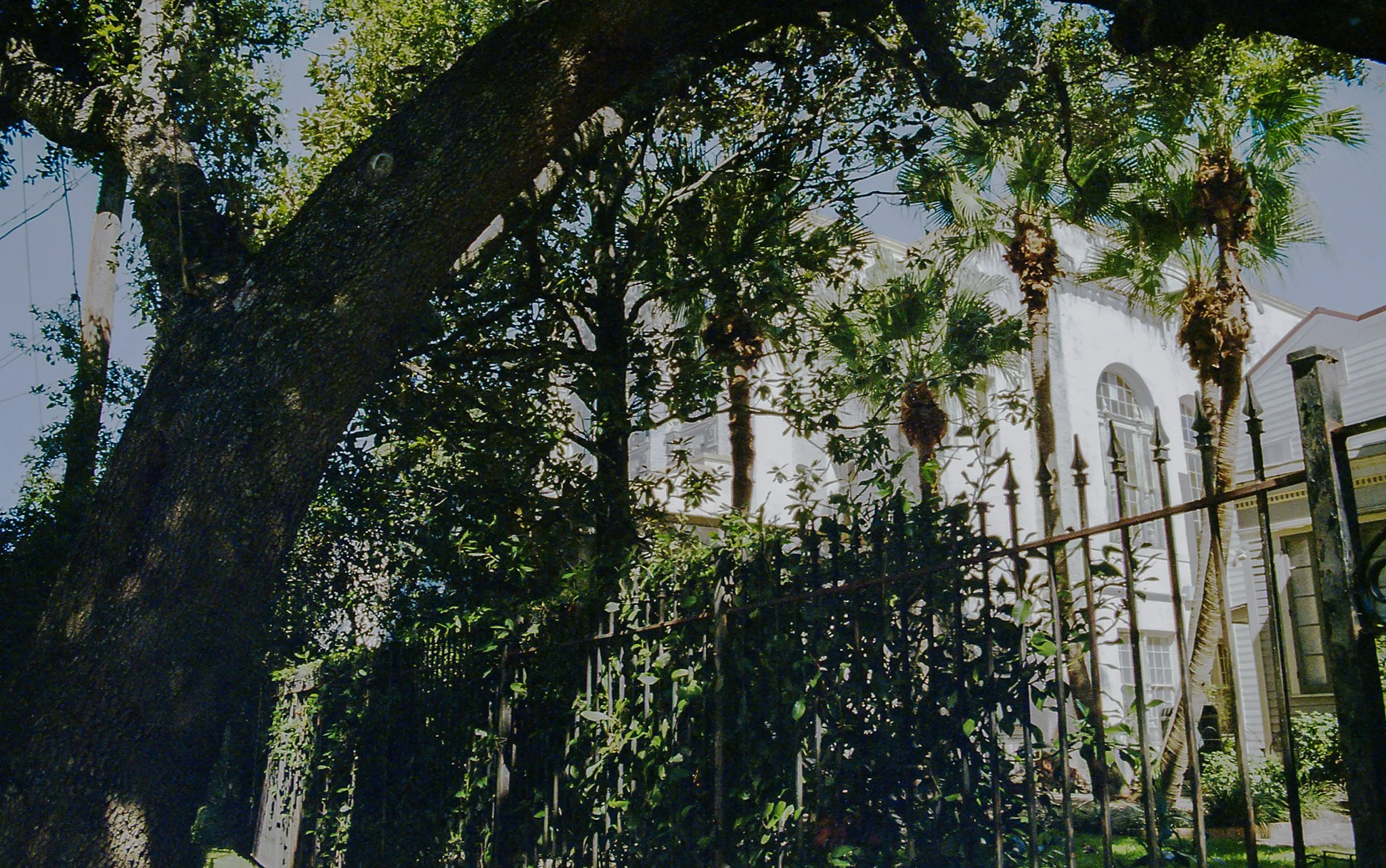 2-Image 252.jpg
