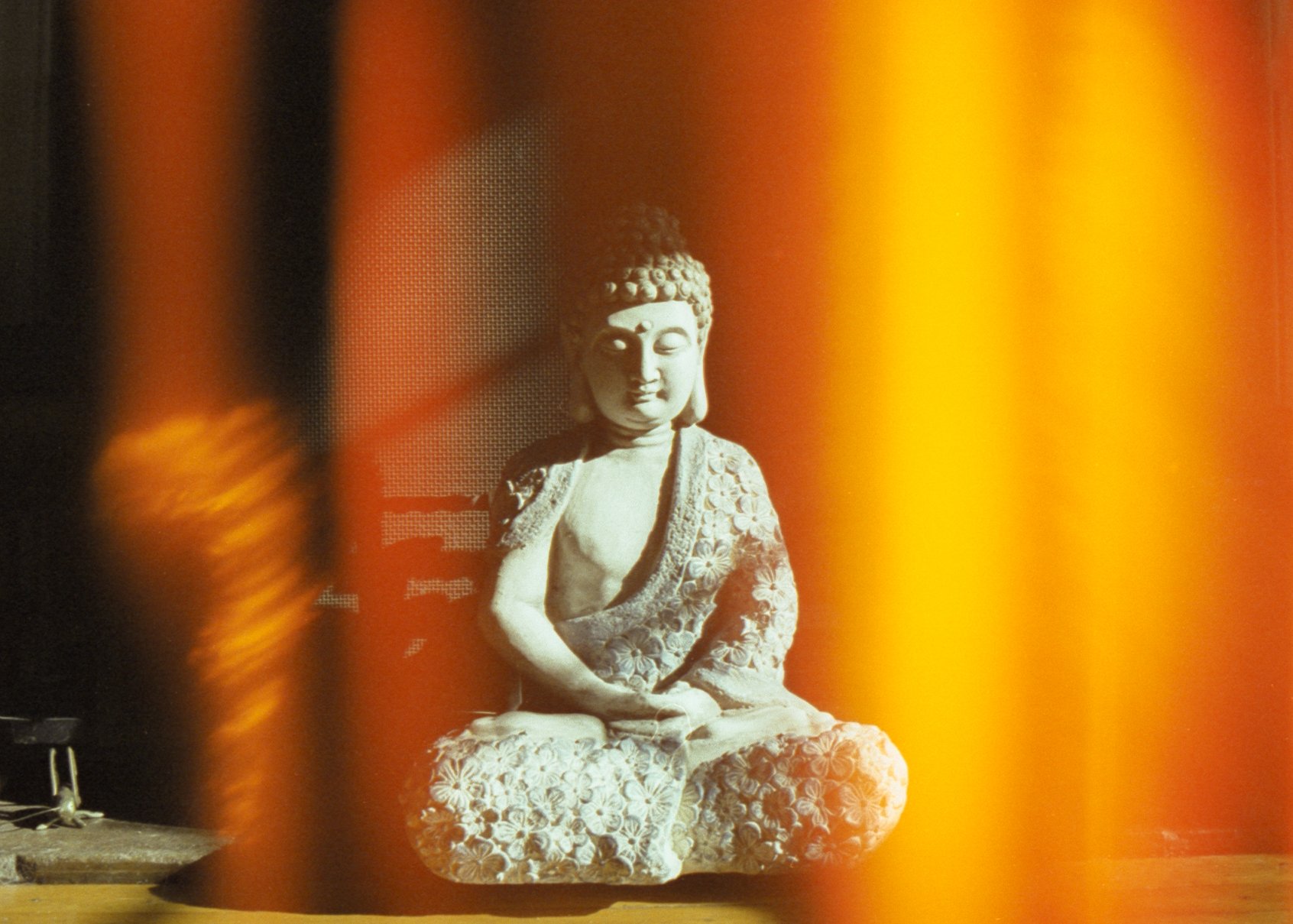 CINESTILL800_2_3_2022.Budda_0002-2.jpg