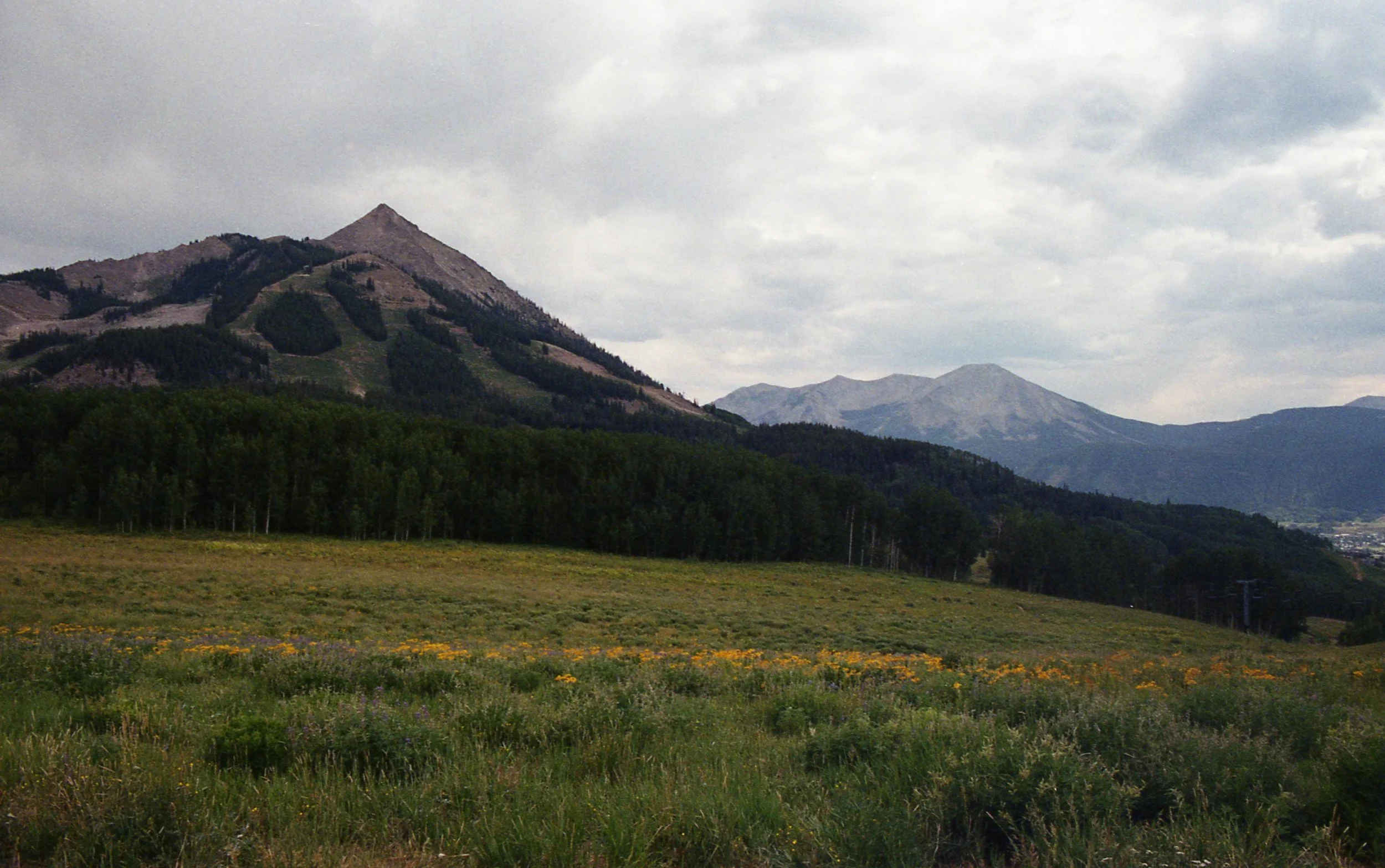 Image 031.jpg