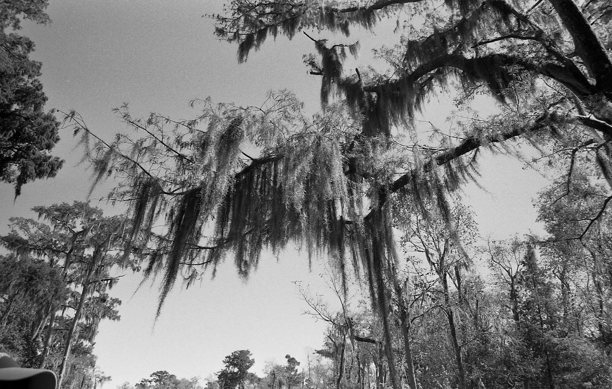 7-Image 552.jpg
