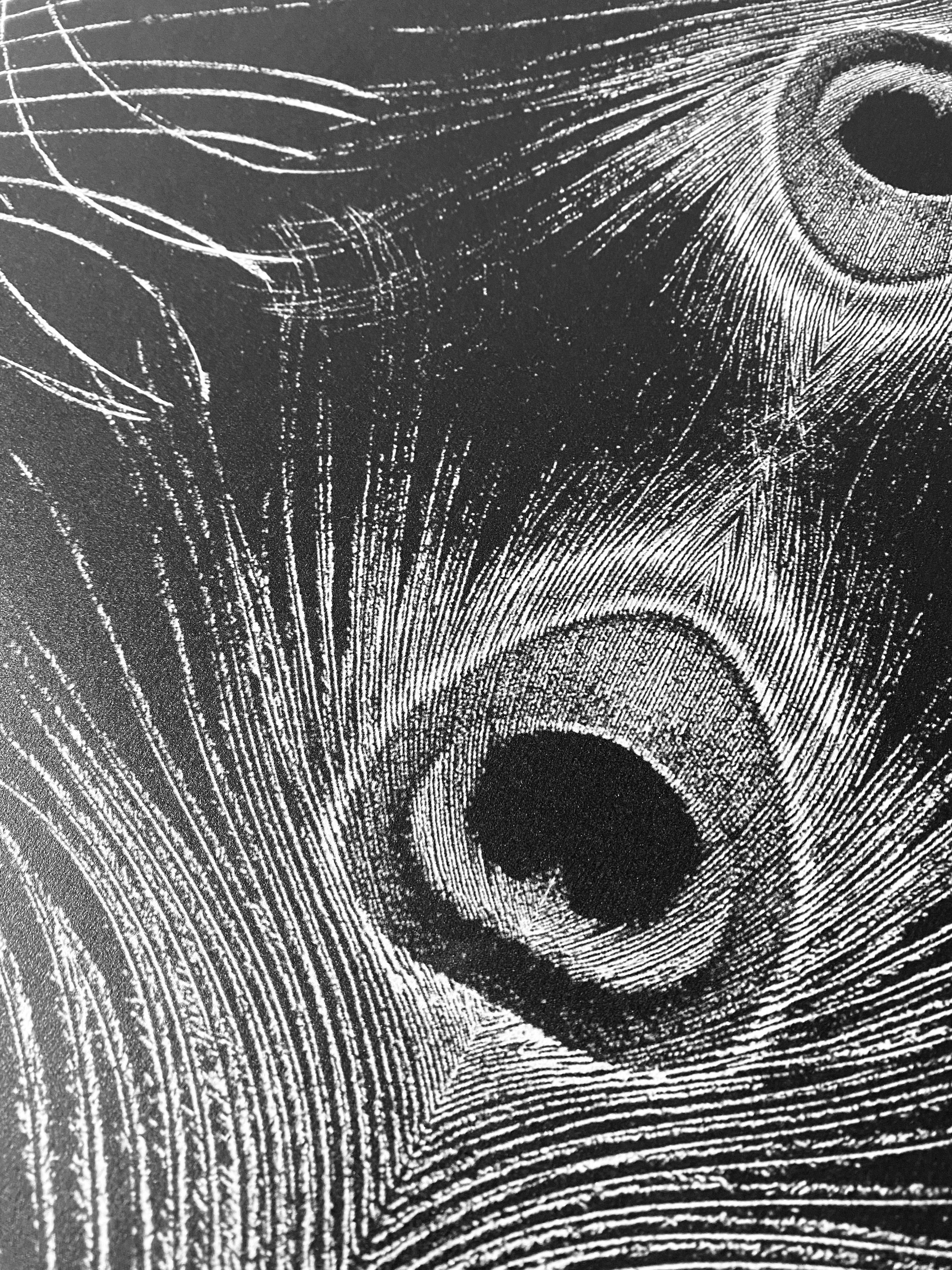 feather.jpeg