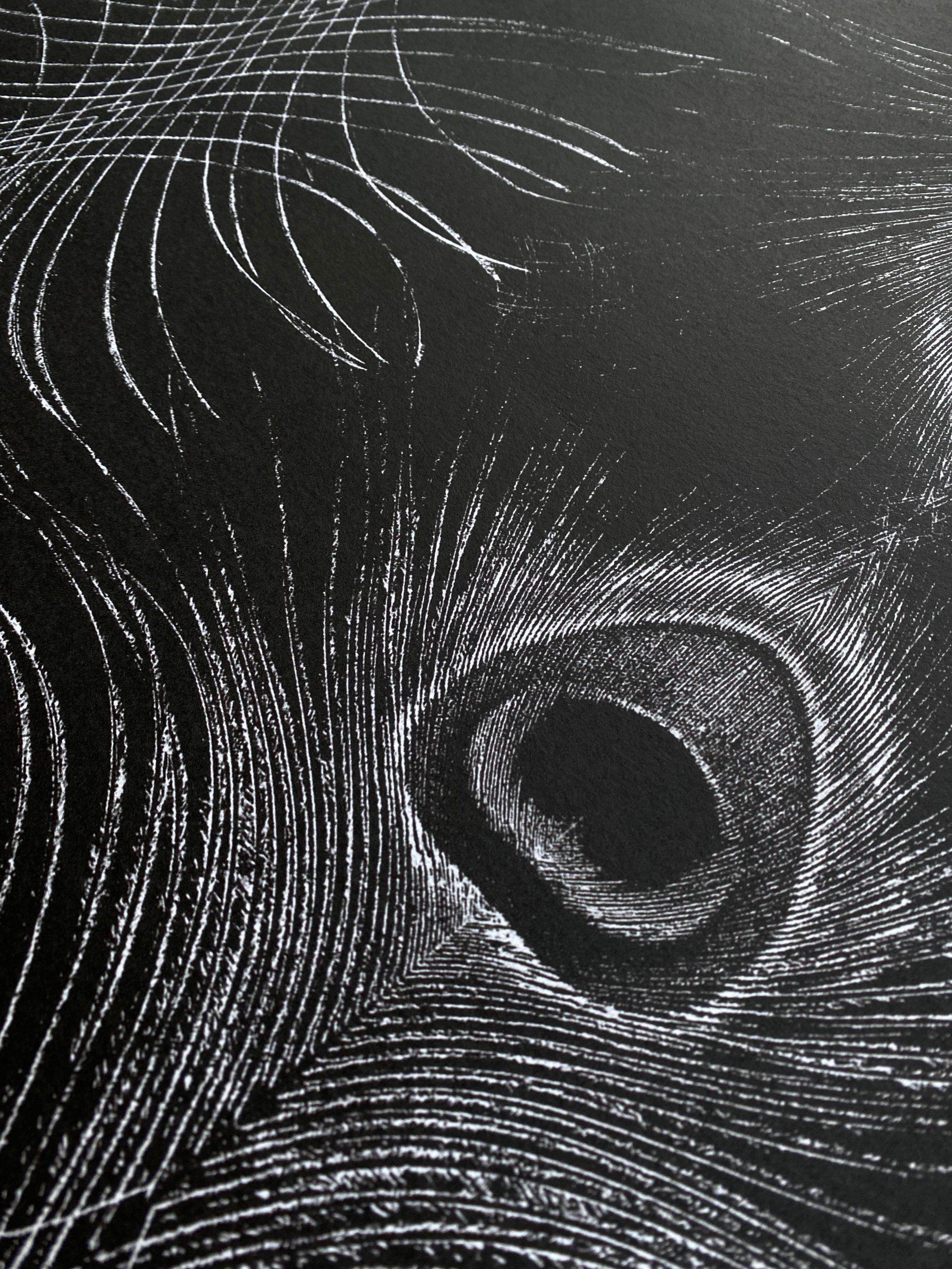 silver feather2.jpeg