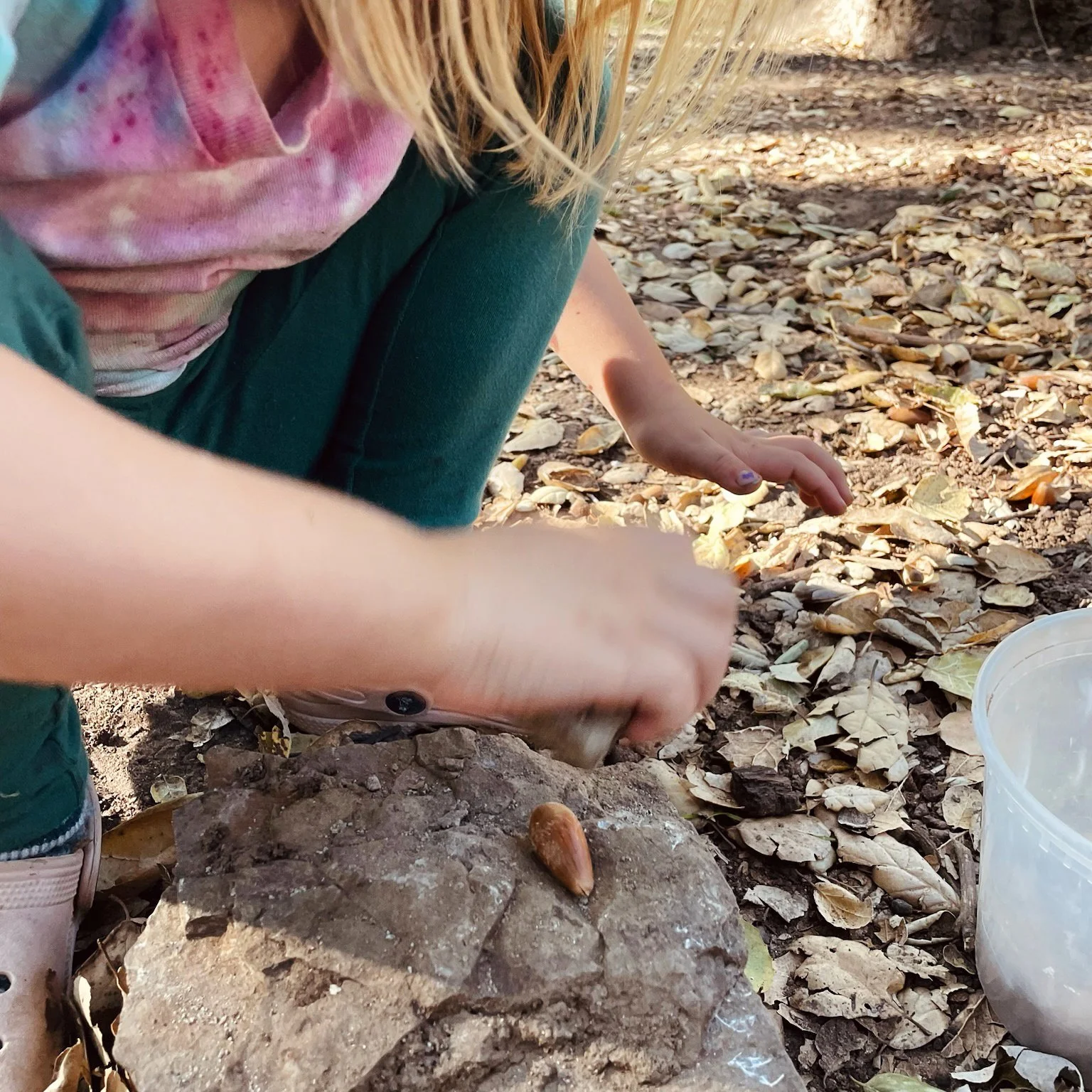 The Very First Oak Tree