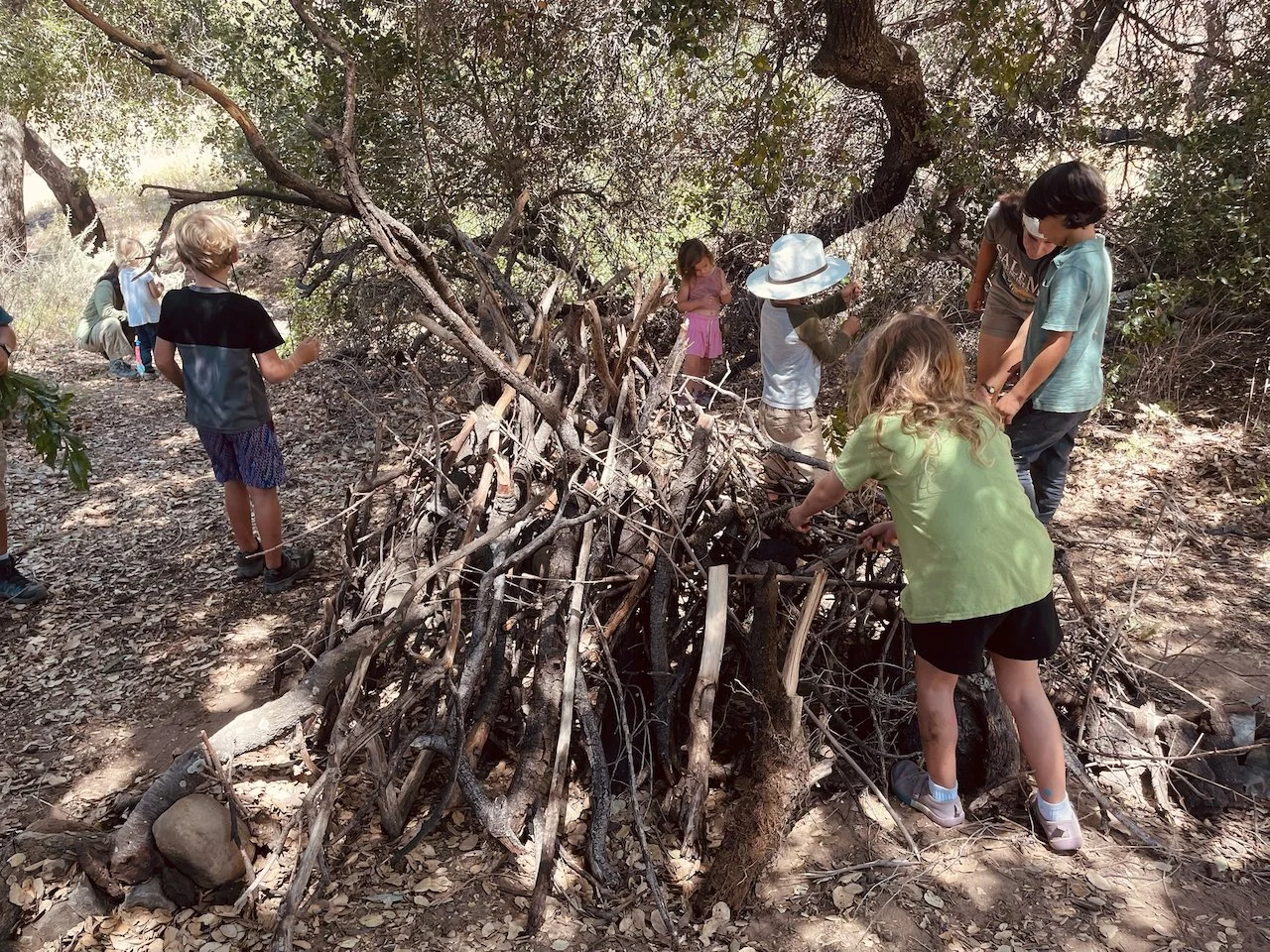Forest Camp 2026