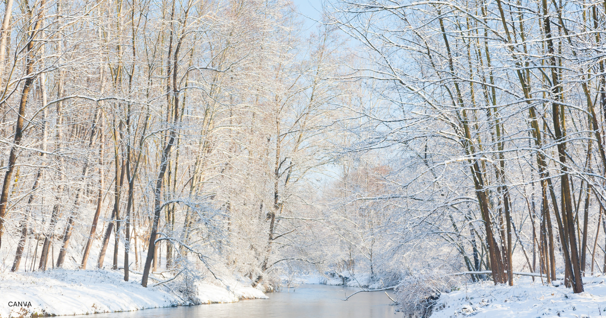 Staying positive during the cold months