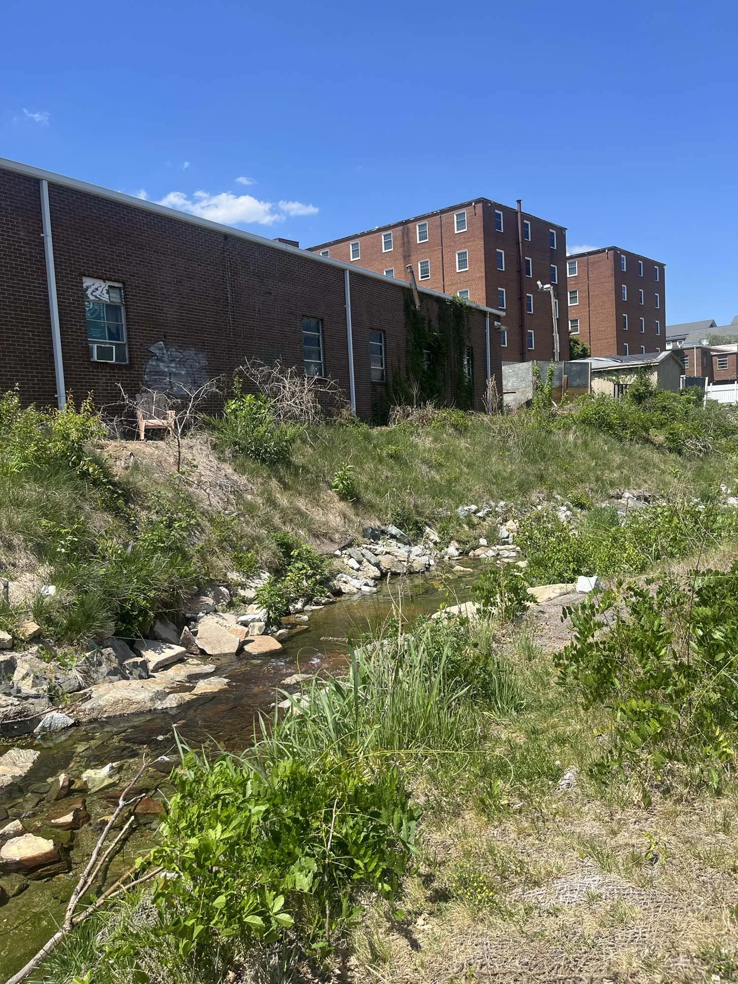 Western Branch along Greensboro College
