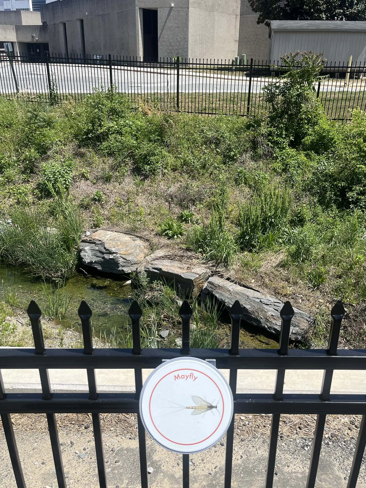 Signage showing the wildlife in the creek