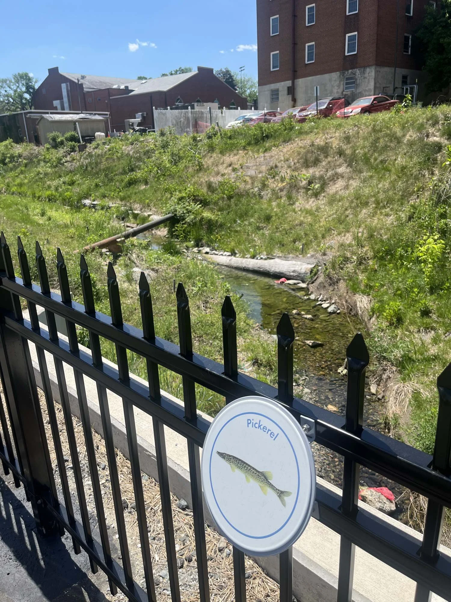 Signage showing the wildlife in the creek