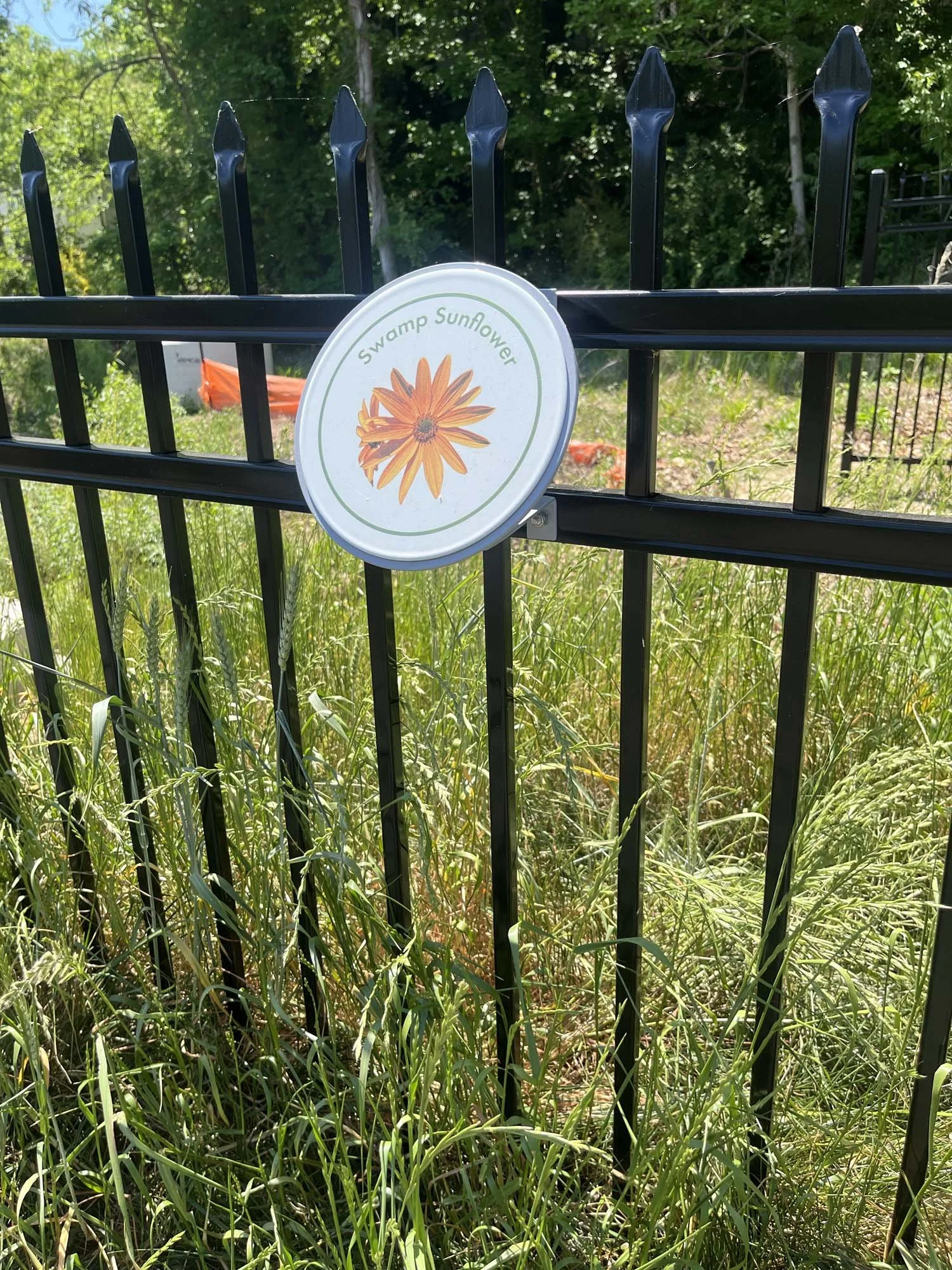 Signage showing the wildlife in the creek