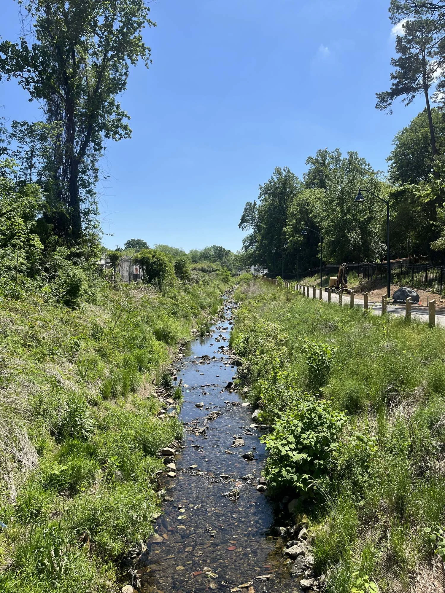 Creek below the connecting bridge