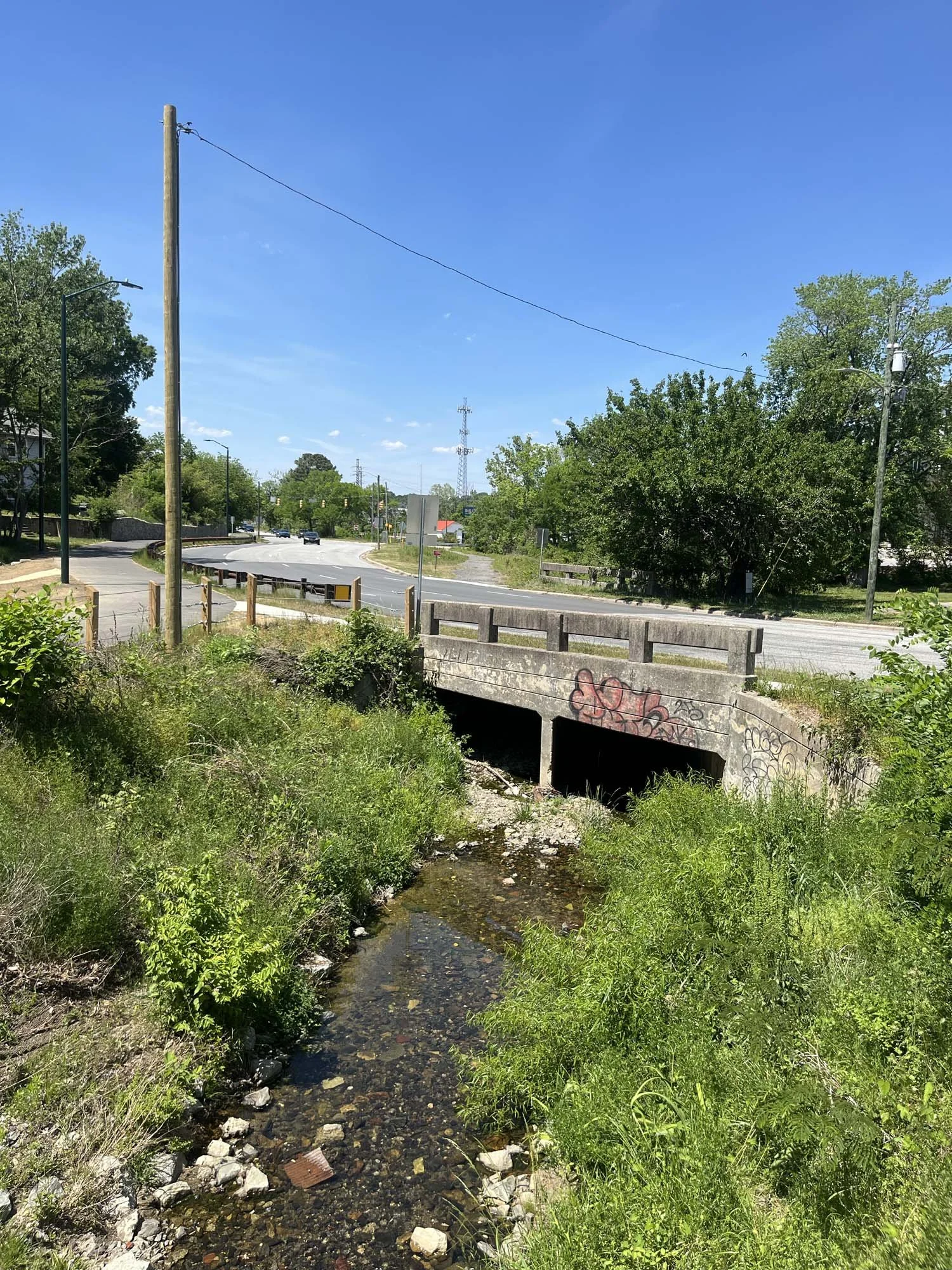 Creek below the connecting bridge