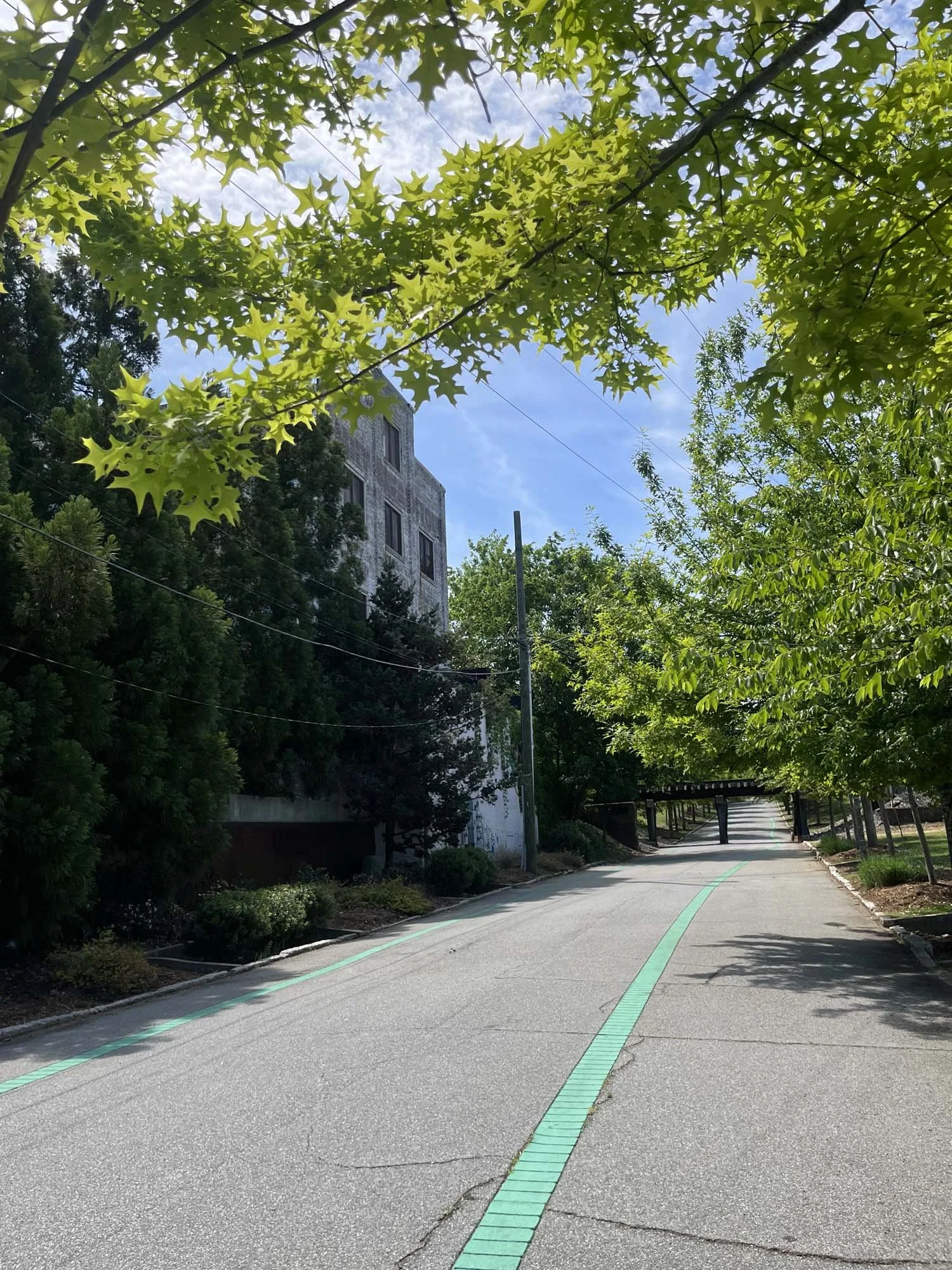 View along the Southern Branch