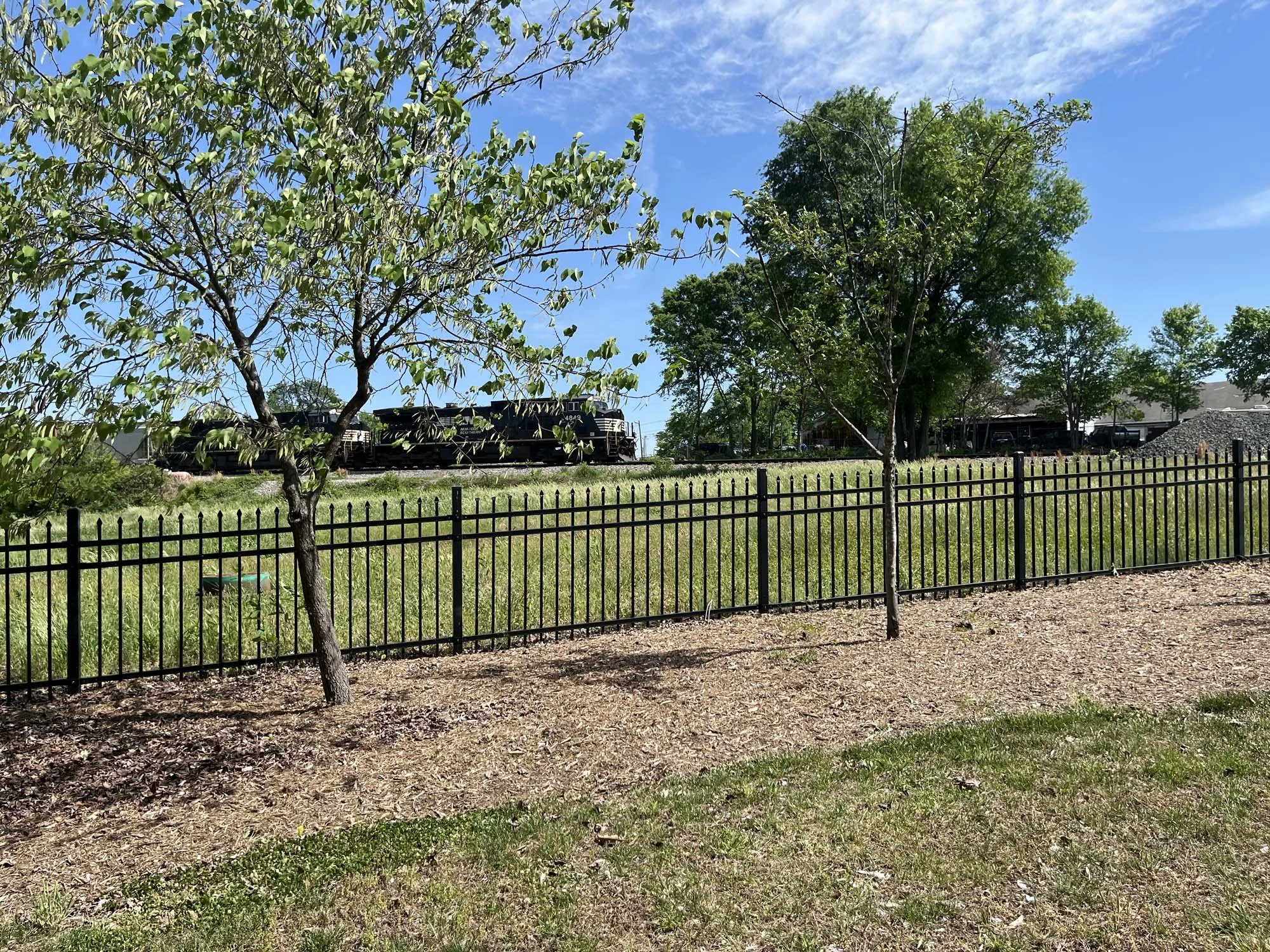 View of Train from the Western Branch
