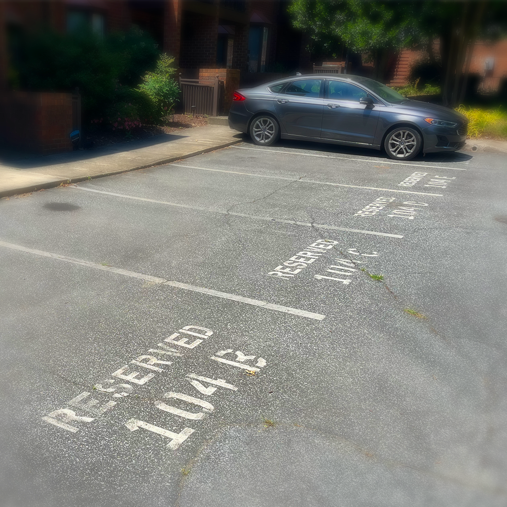 Parking Patrol Picks Up