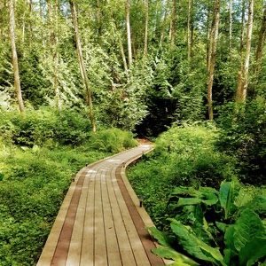 Summer+Grounds+8.jpg