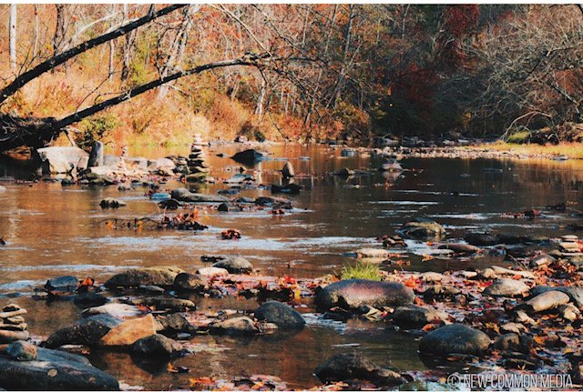 River.jpeg