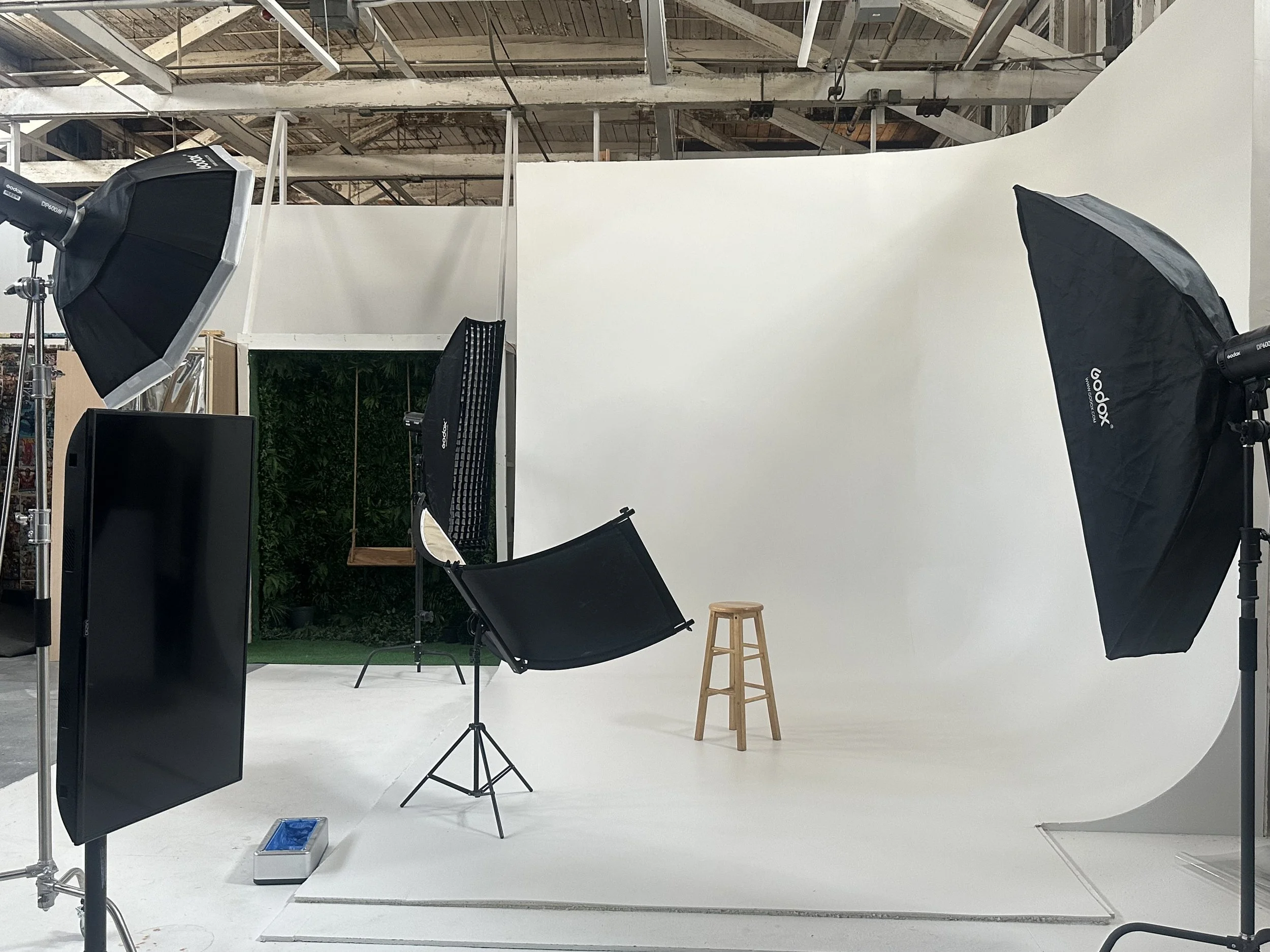 Photography studio setup with softbox lights, a white seamless backdrop, a wooden stool, and a green foliage wall in the background.